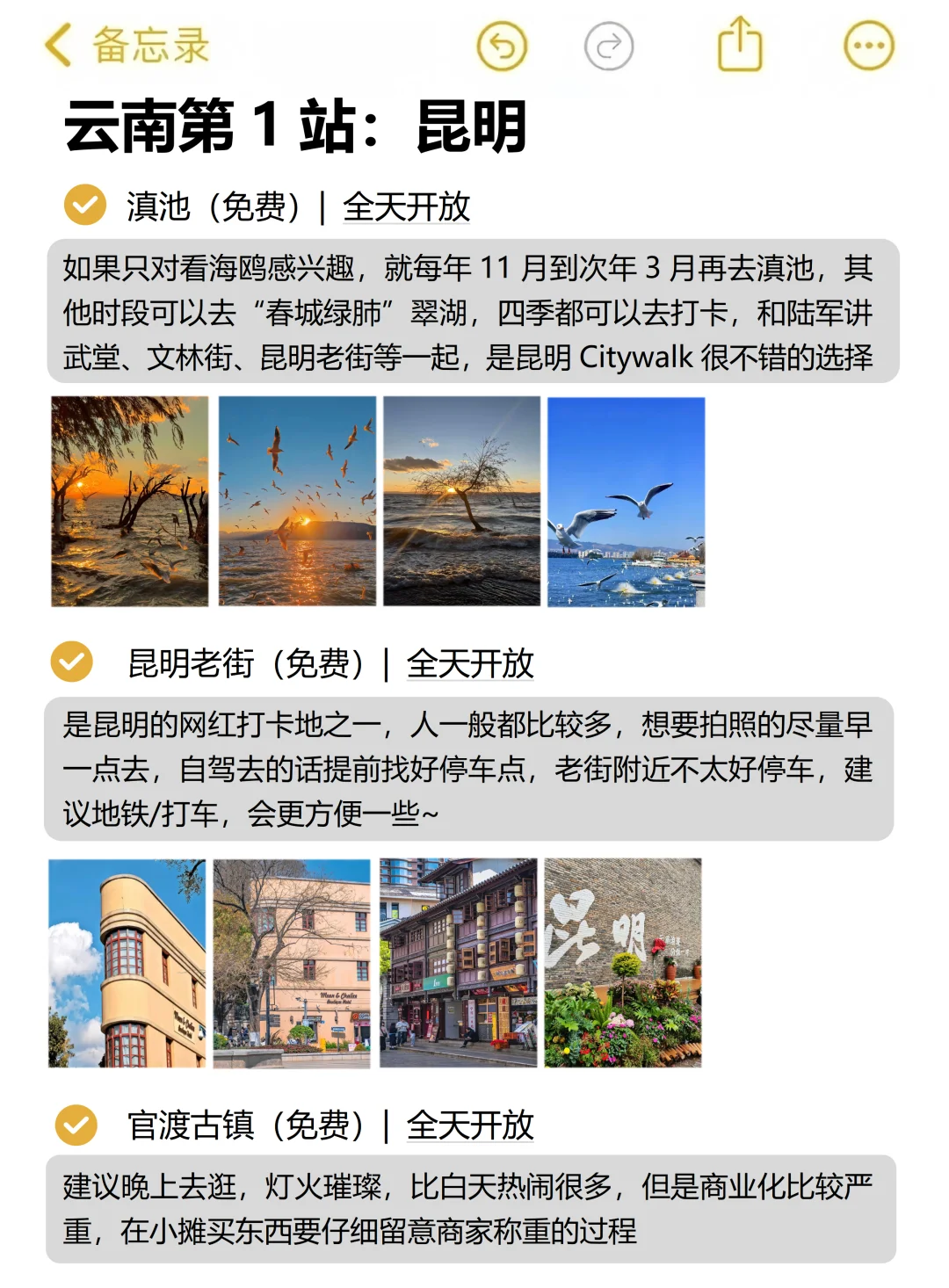 本J人做的云南旅游攻略已经next level了