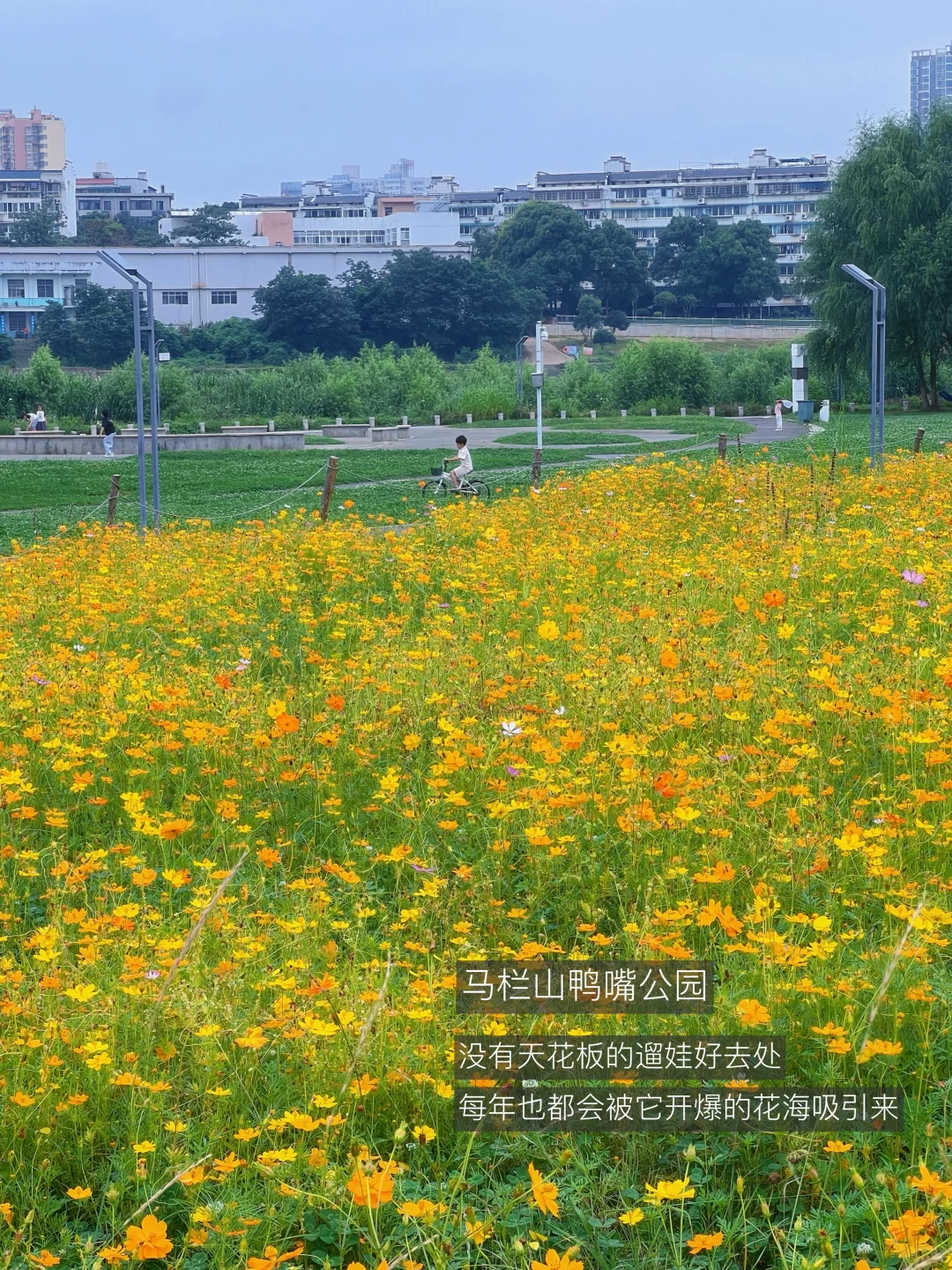 长沙最好的地方都是免费的…
