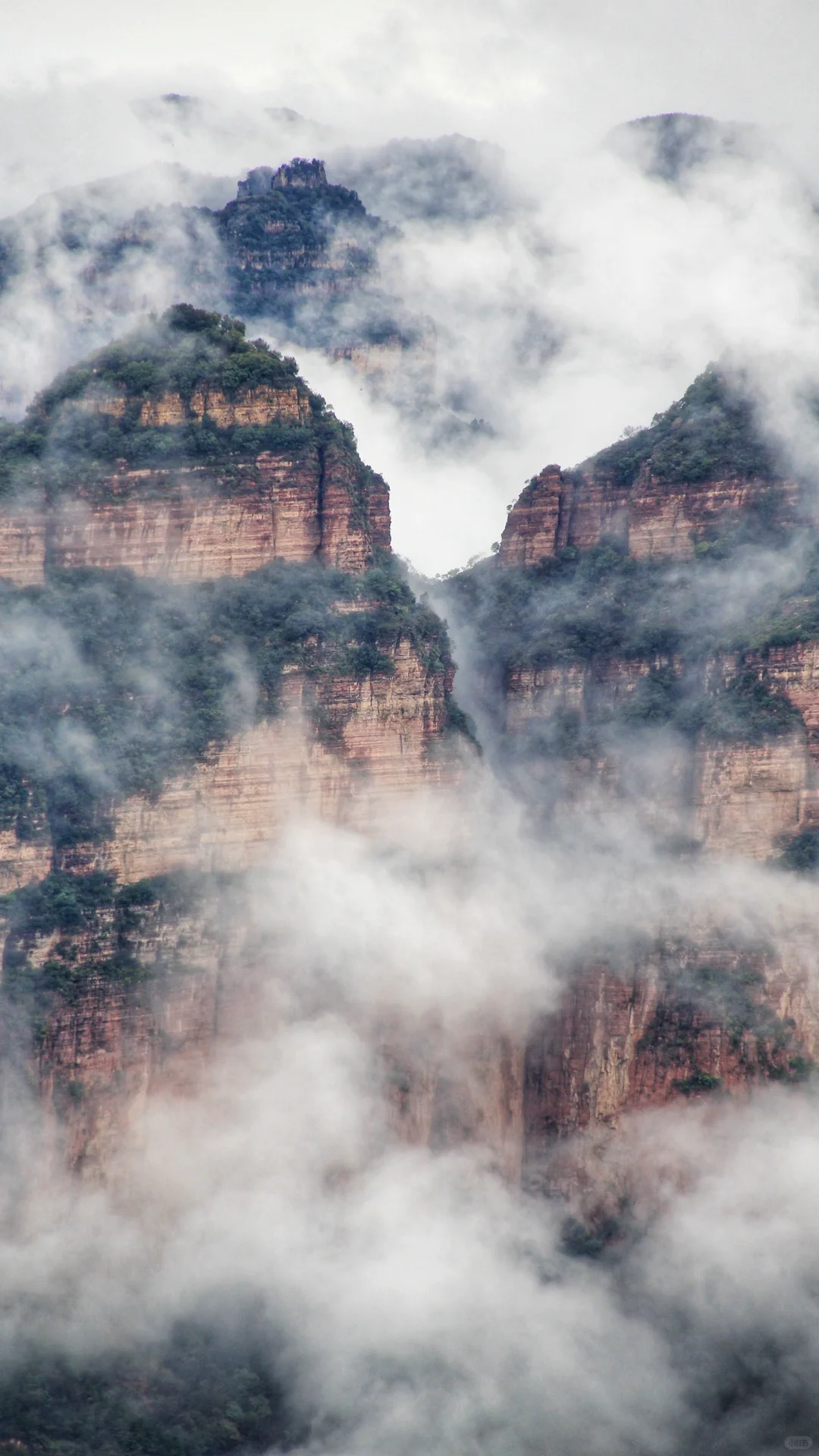 偶遇仙山