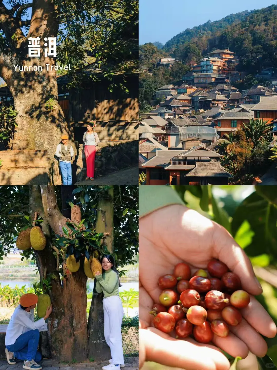 天气好冷想去暖和的小城旅居！我推荐这8个