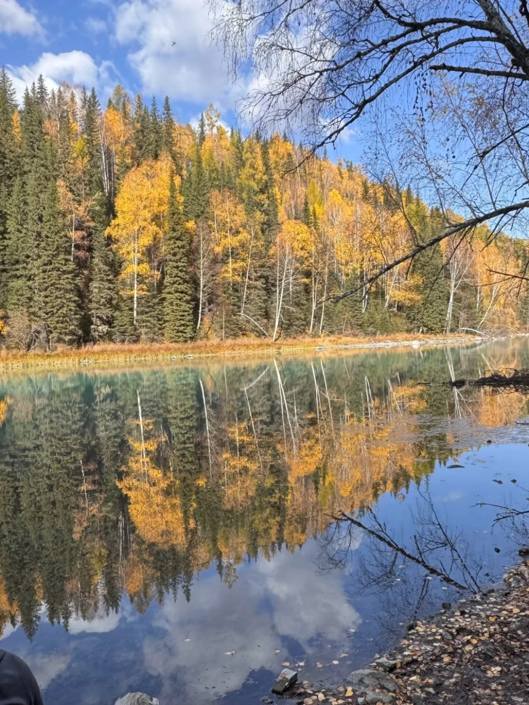 10-11月国内遛娃赏秋🍁不容错过的9大天花板