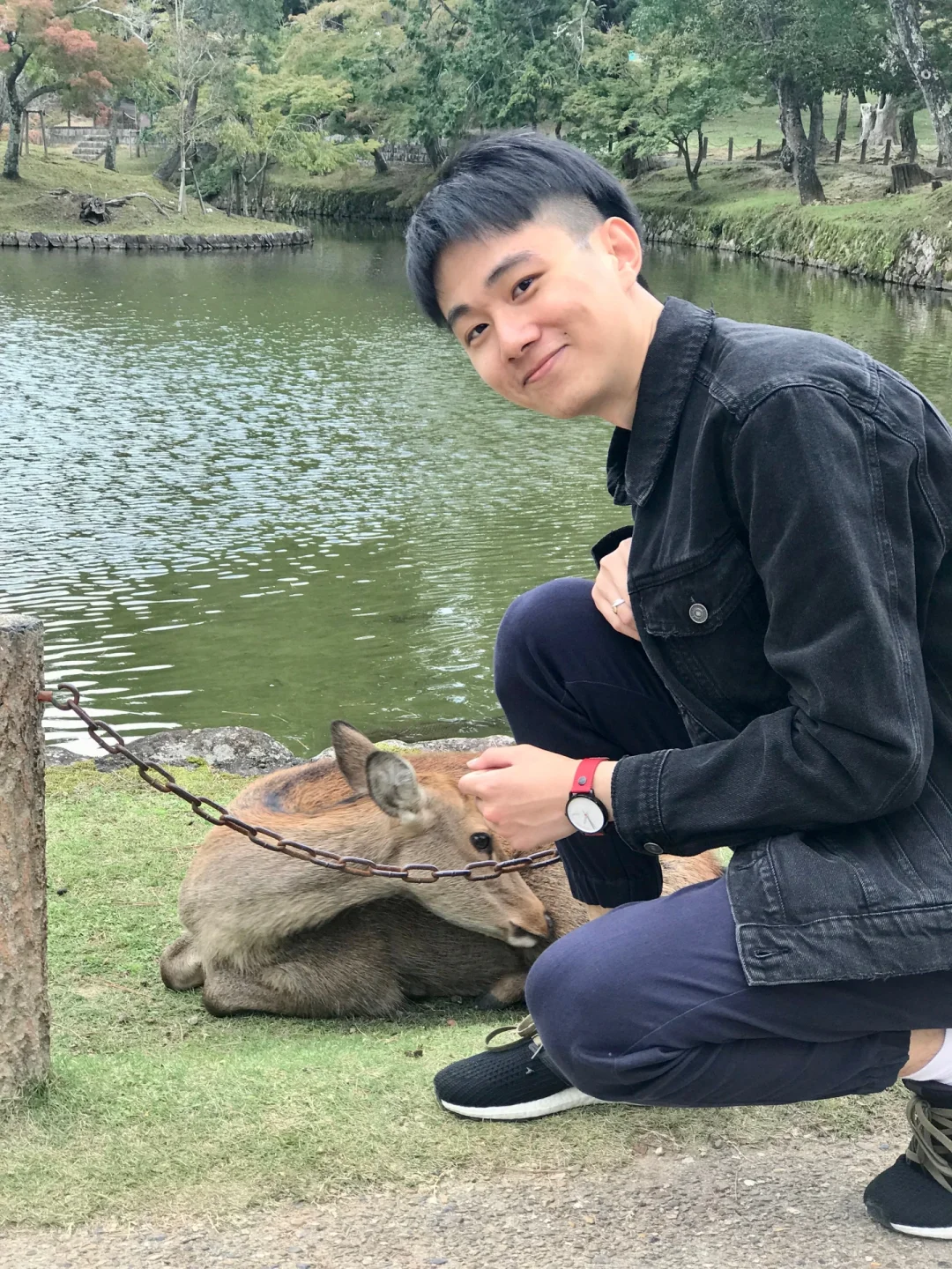 逛遍奈良景点只要一下午的旅游攻略来啦!