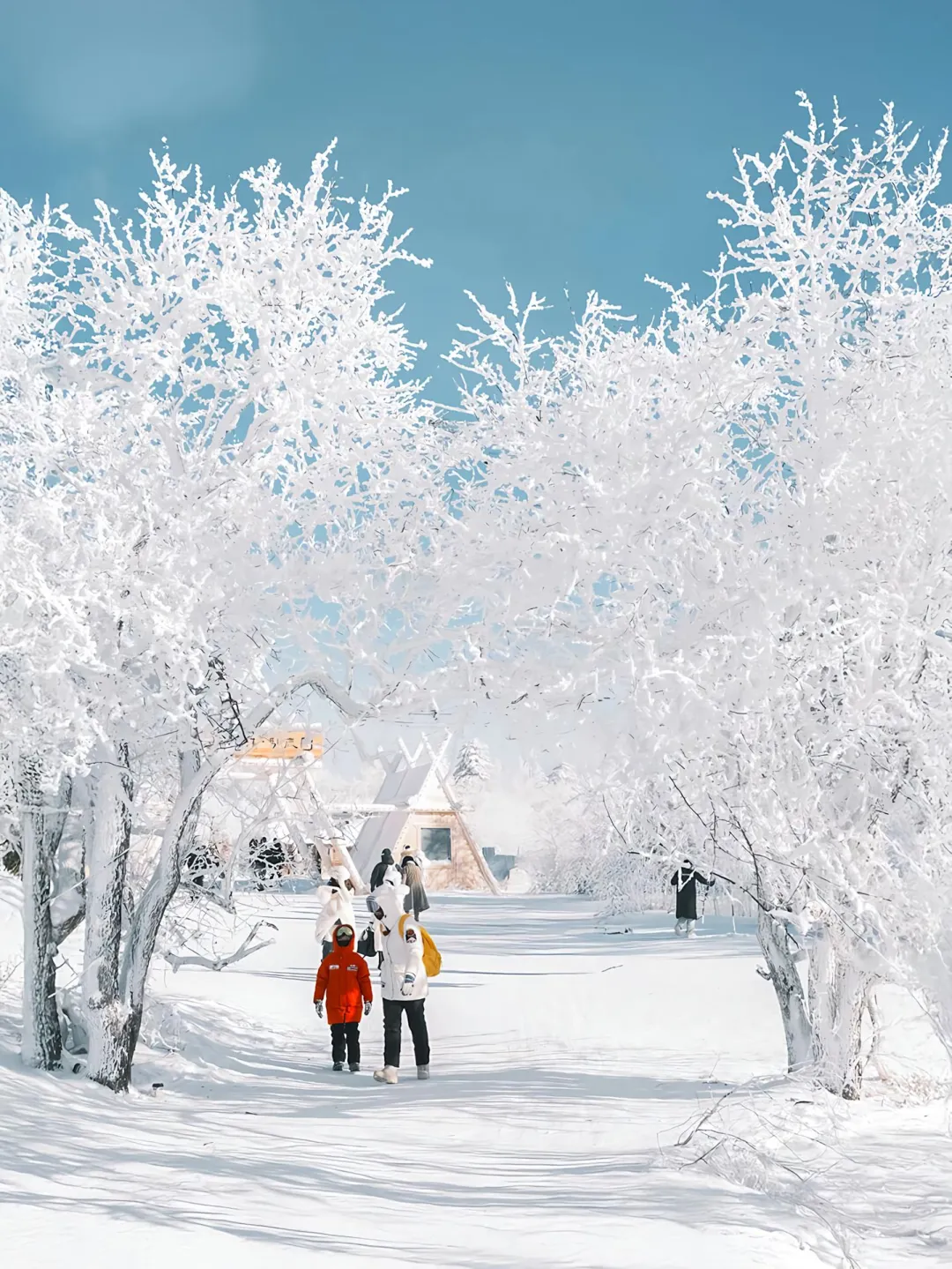 🌟哈尔滨雪乡旅游攻略❄️三天两晚景点路线