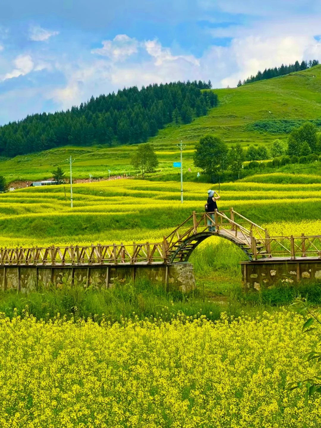 山西文旅你不宣传这里糊涂啊！人少还免费！