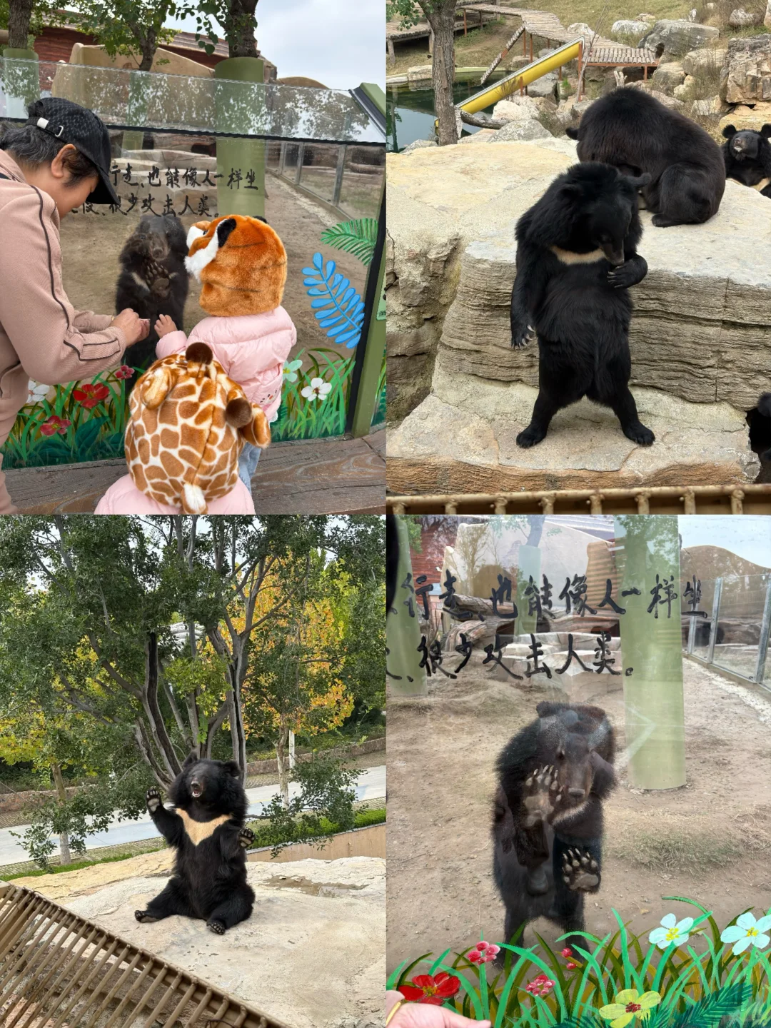 欧乐堡已回,北京出发3天2晚2岁+就这么玩