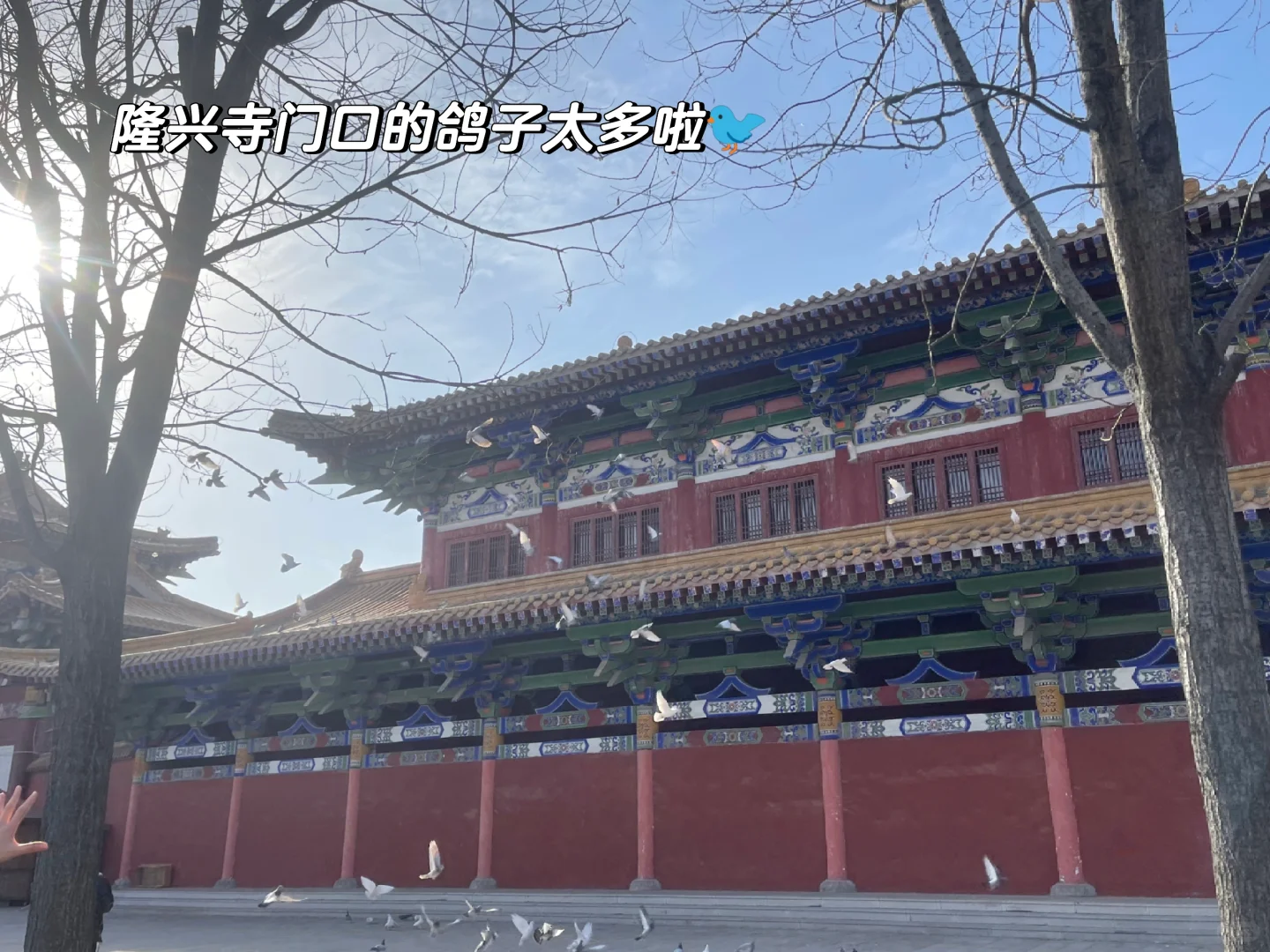 小众景点推荐，带你发现不一样的美🌸