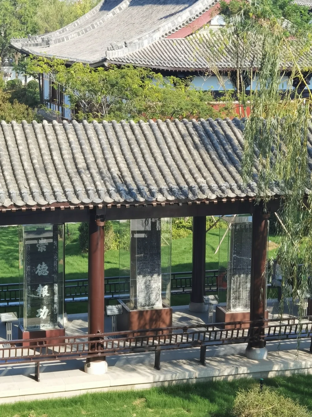 朋友圈问疯了❗️还以为我们出国了‼️