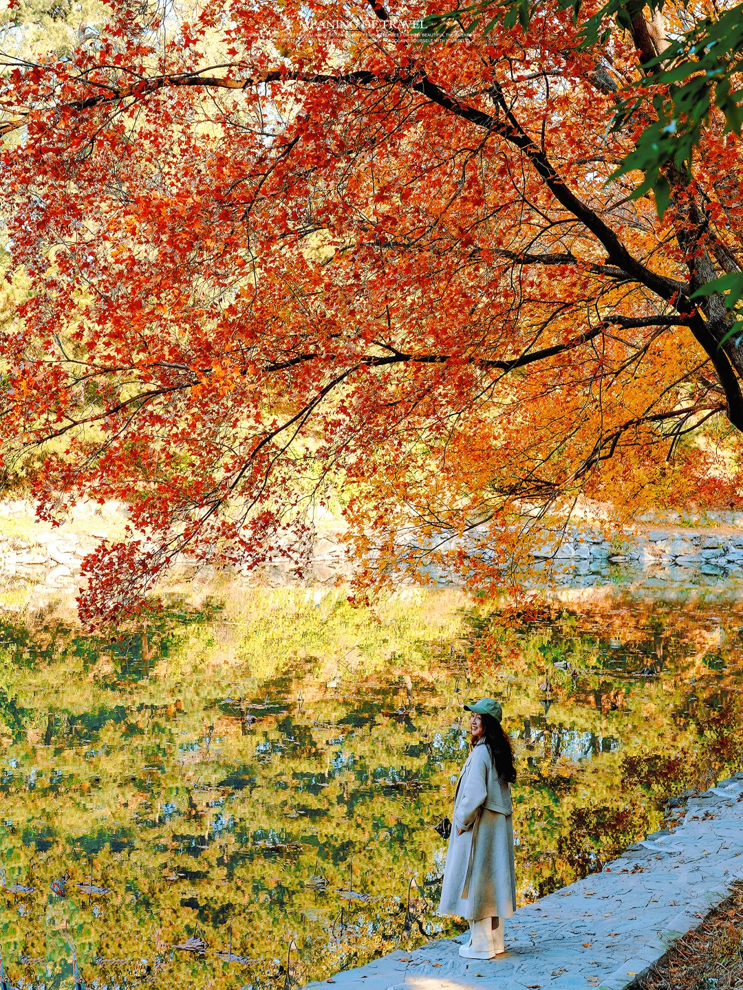 颐和园的秋天上线，北京的秋就真来啦‼️