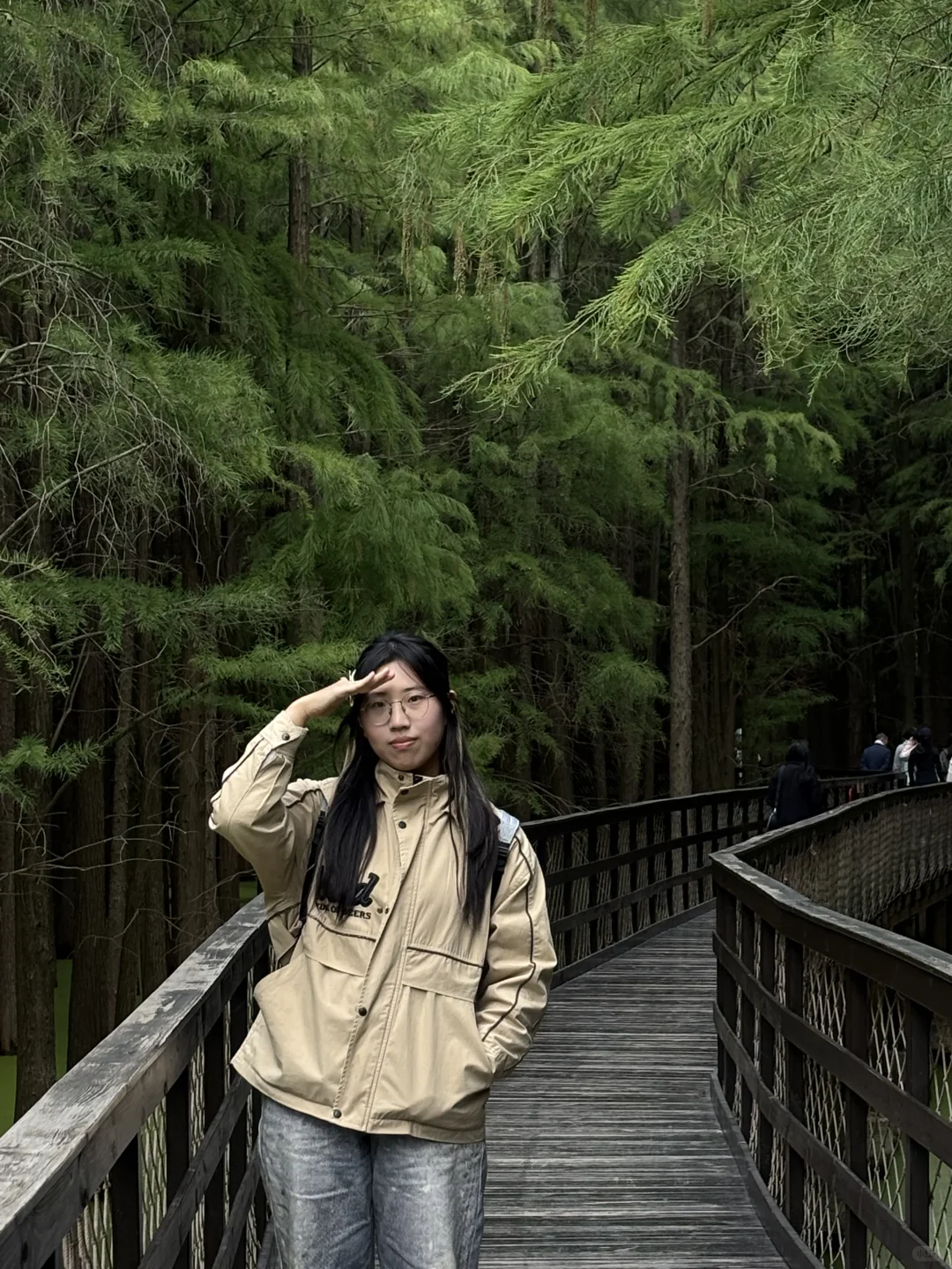 抹茶森林💚💚💚