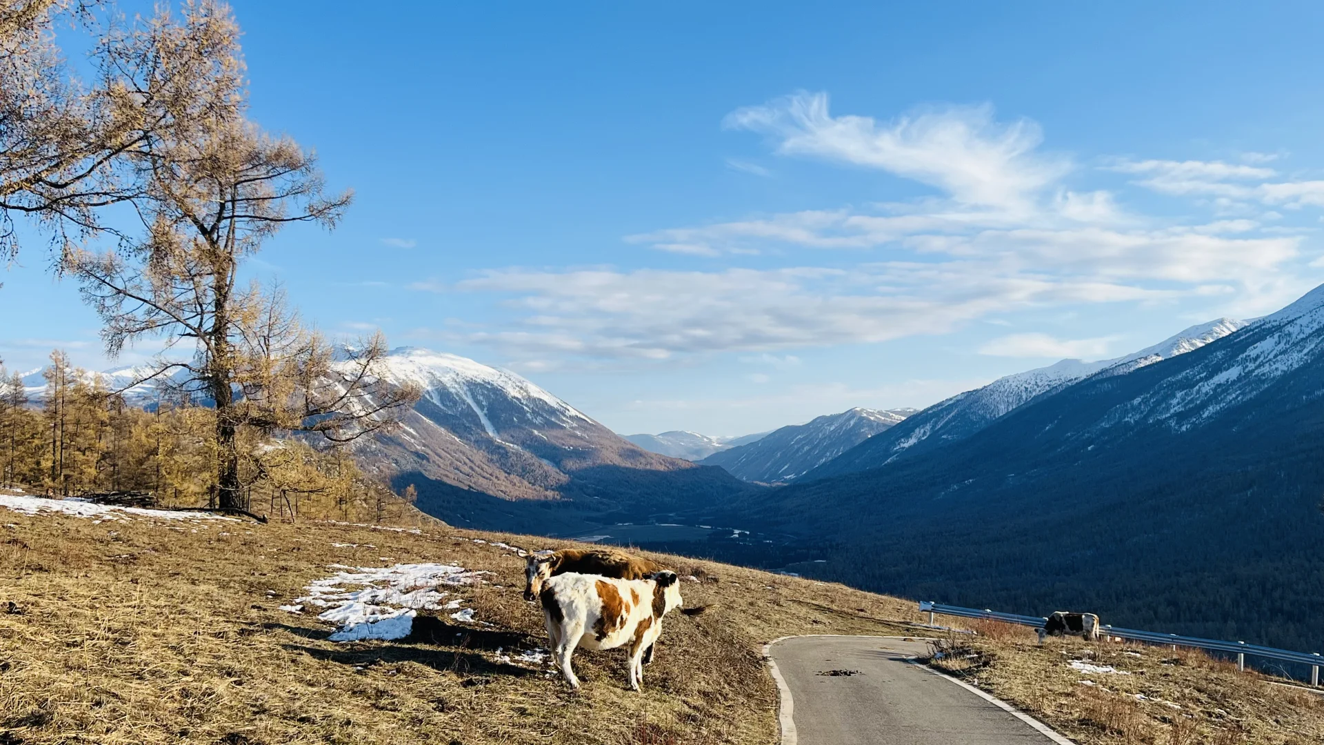 淡季的喀纳斯,人少景美,可以玩雪了