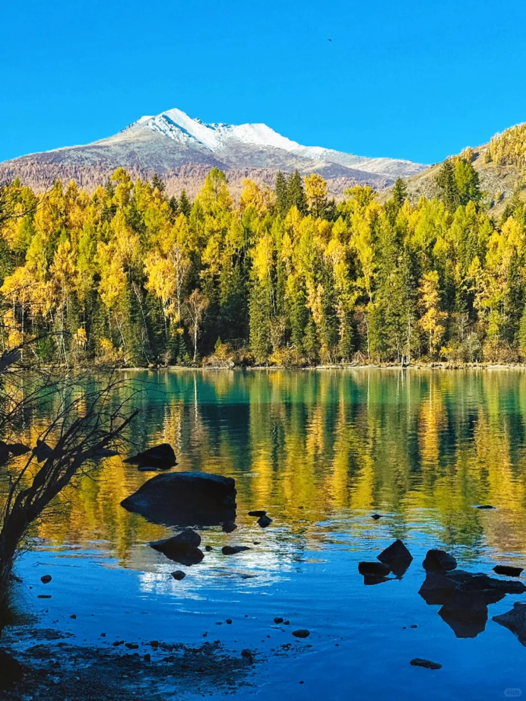 10-11月国内遛娃赏秋🍁不容错过的9大天花板