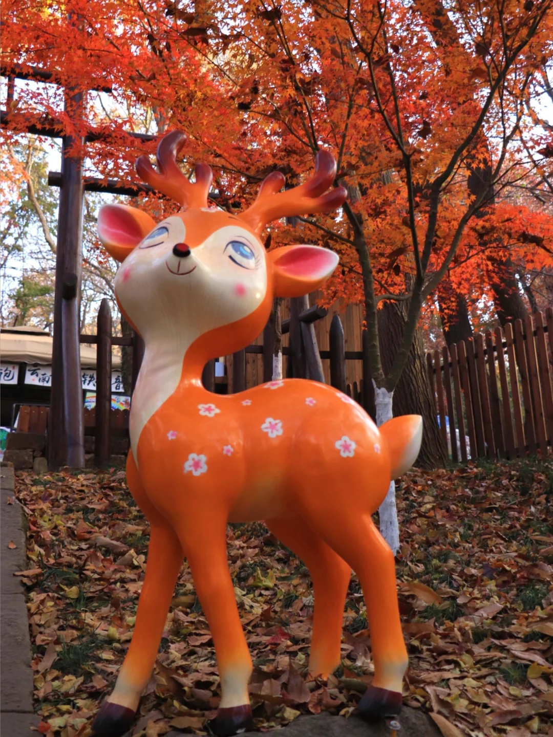 接下来南京栖霞山,将是国内赏秋天花板!