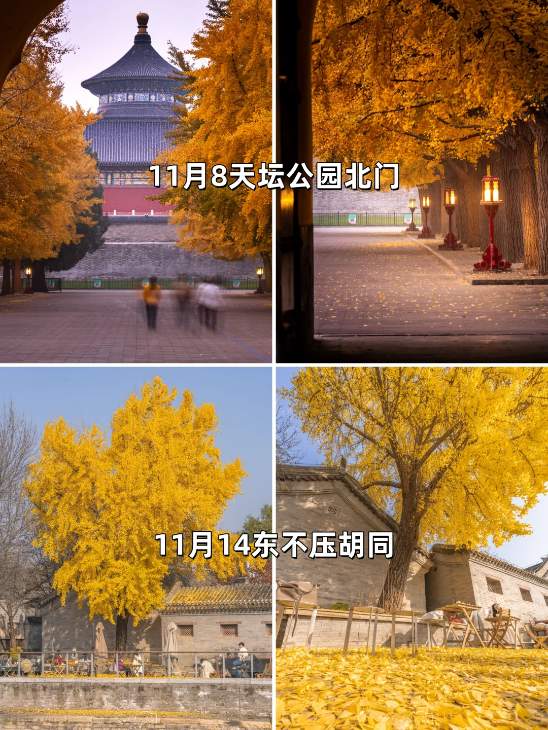 安排一个月！北京赏秋时间顺序与机位大全❤