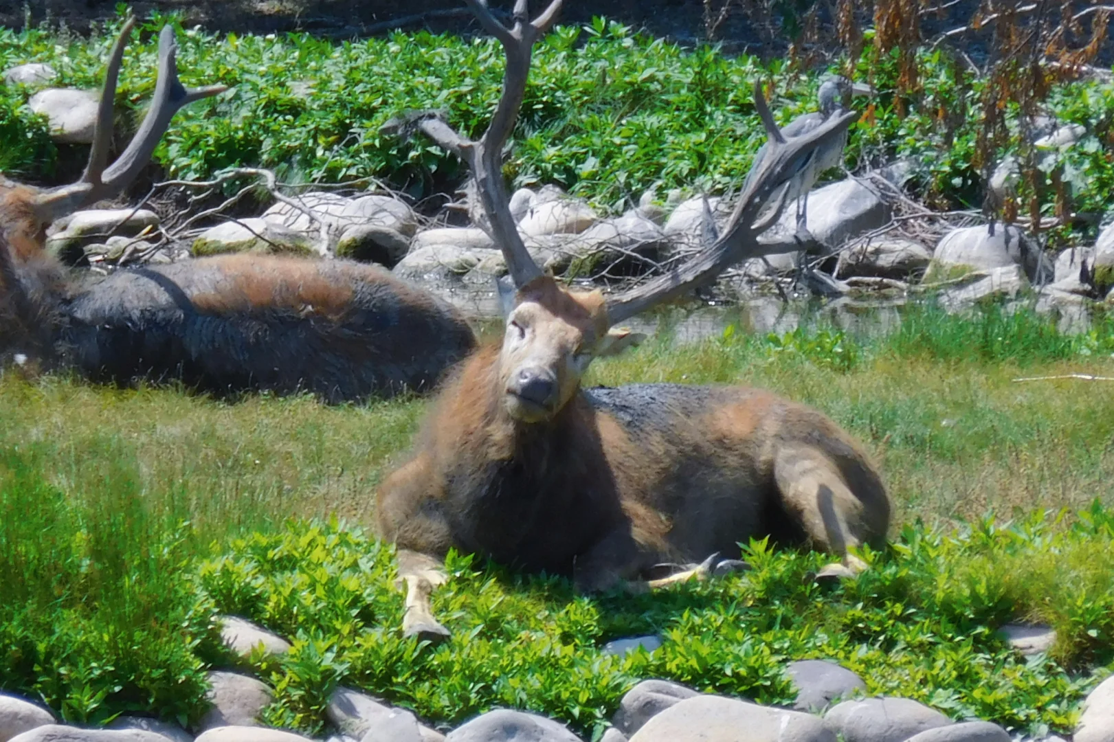 北京，我最推荐的三个公园！