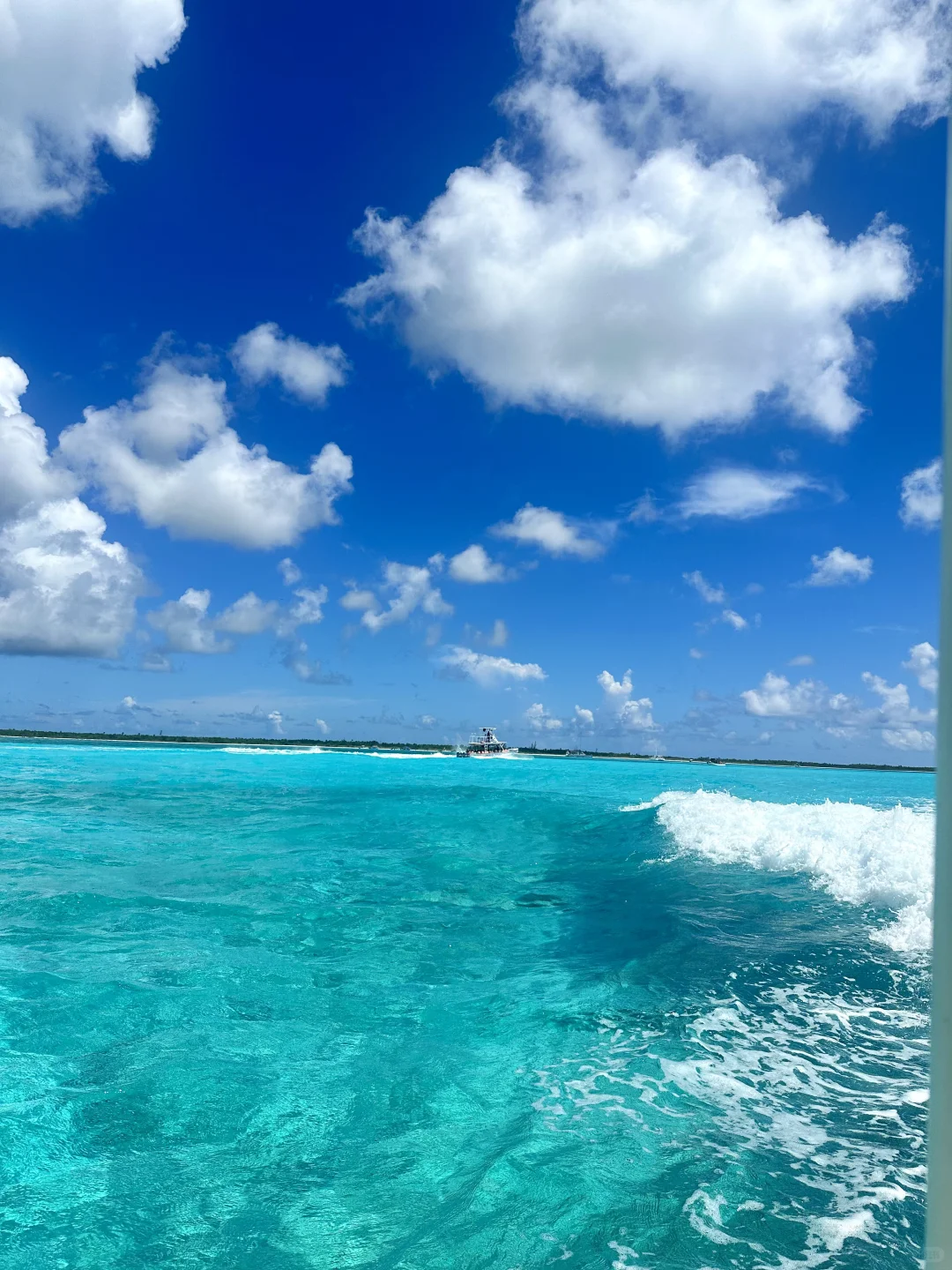 🇲🇽Cozumel科苏梅尔岛｜必打卡景点美食攻略