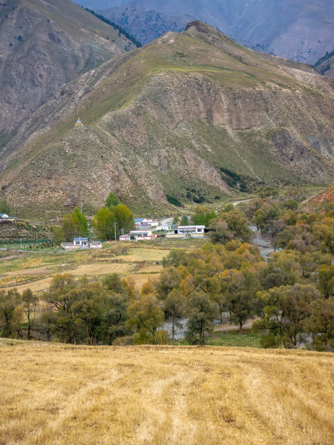 青甘环线｜这个村子真是美得犯规❗️