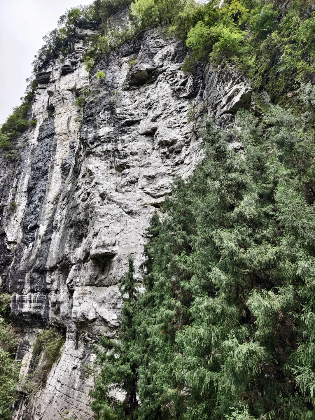 国内旅游现在急需整治的地方