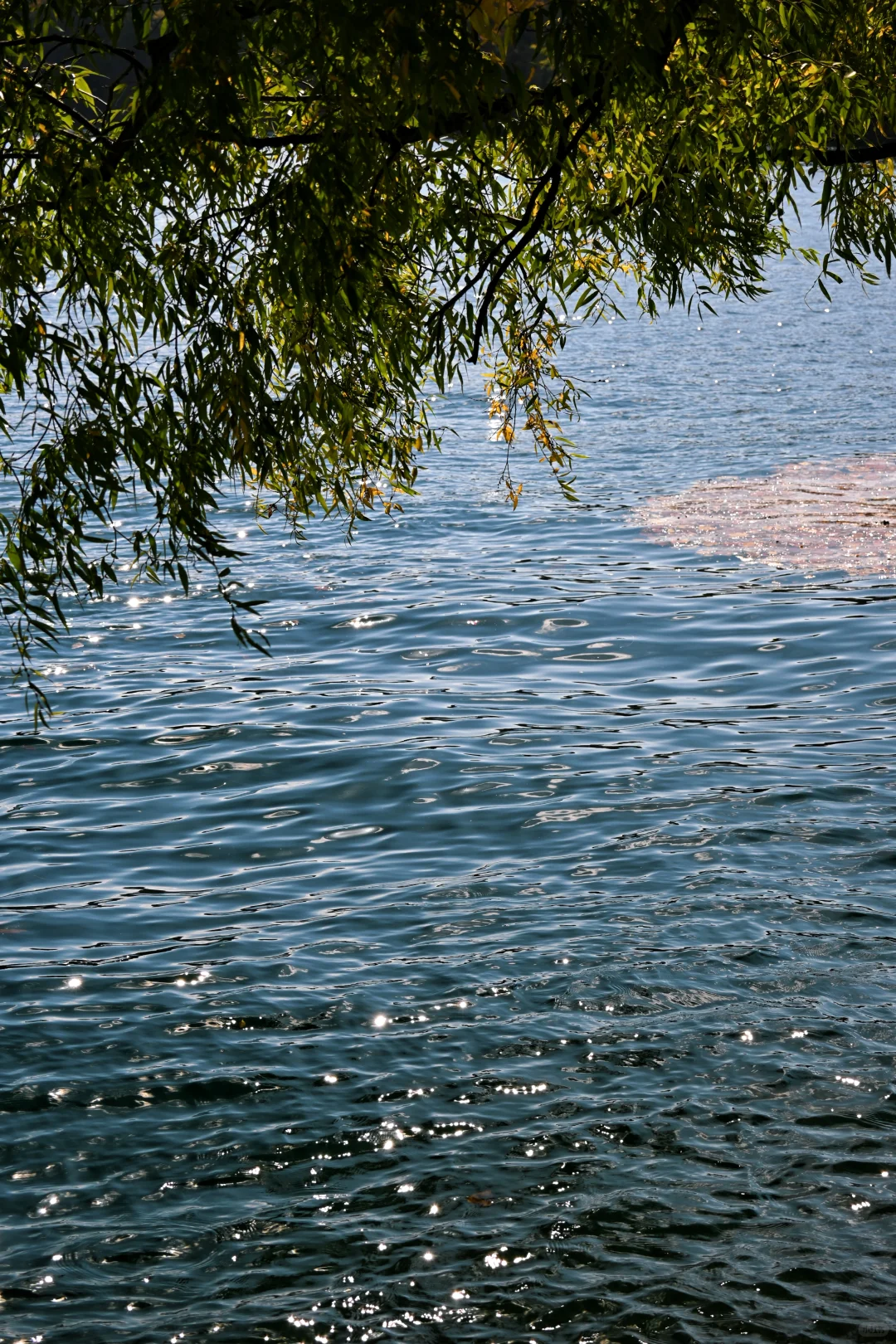 吉林通化龙湾景区游记