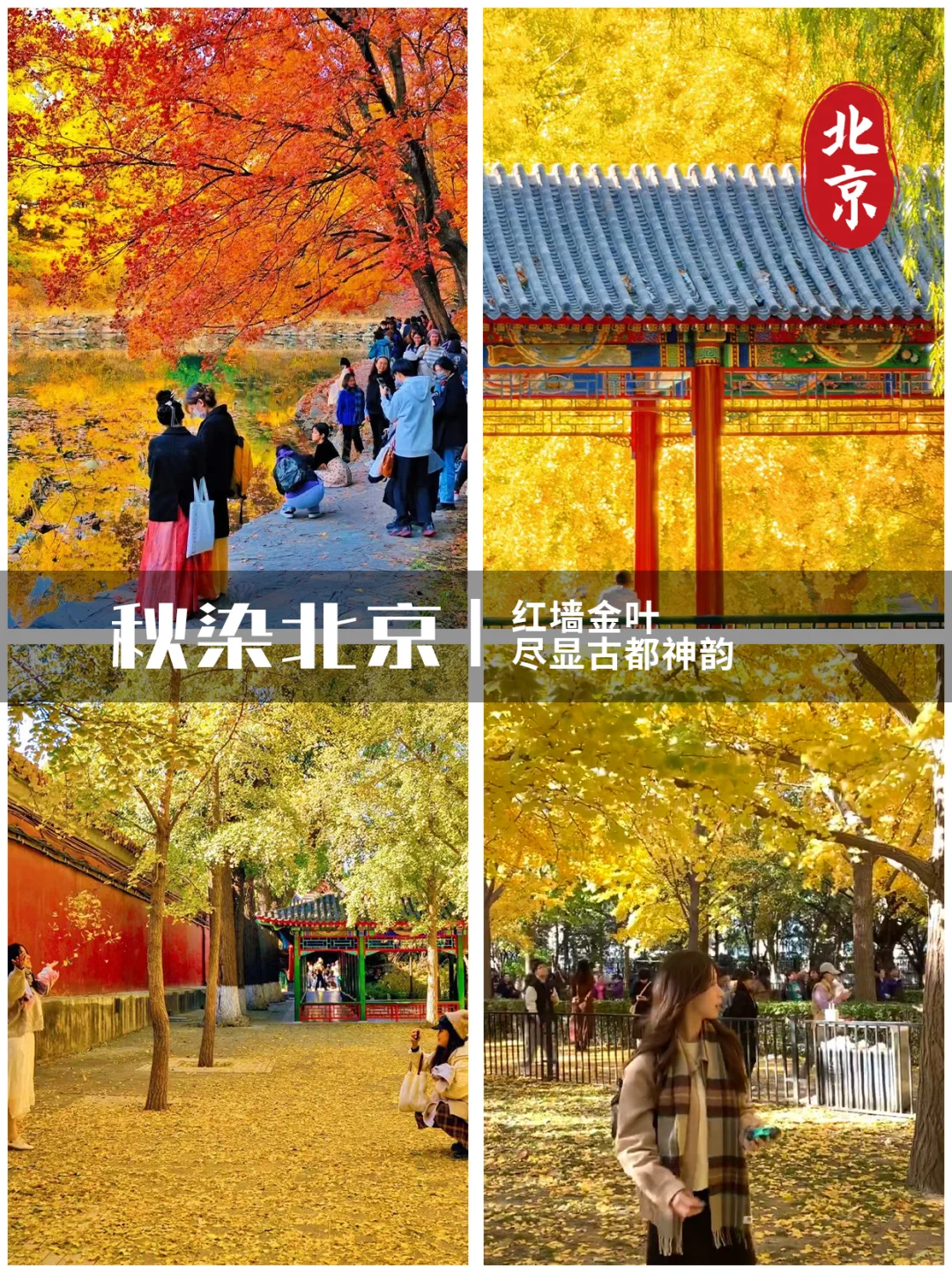 浙江秋假旅游目的地推荐！🔥