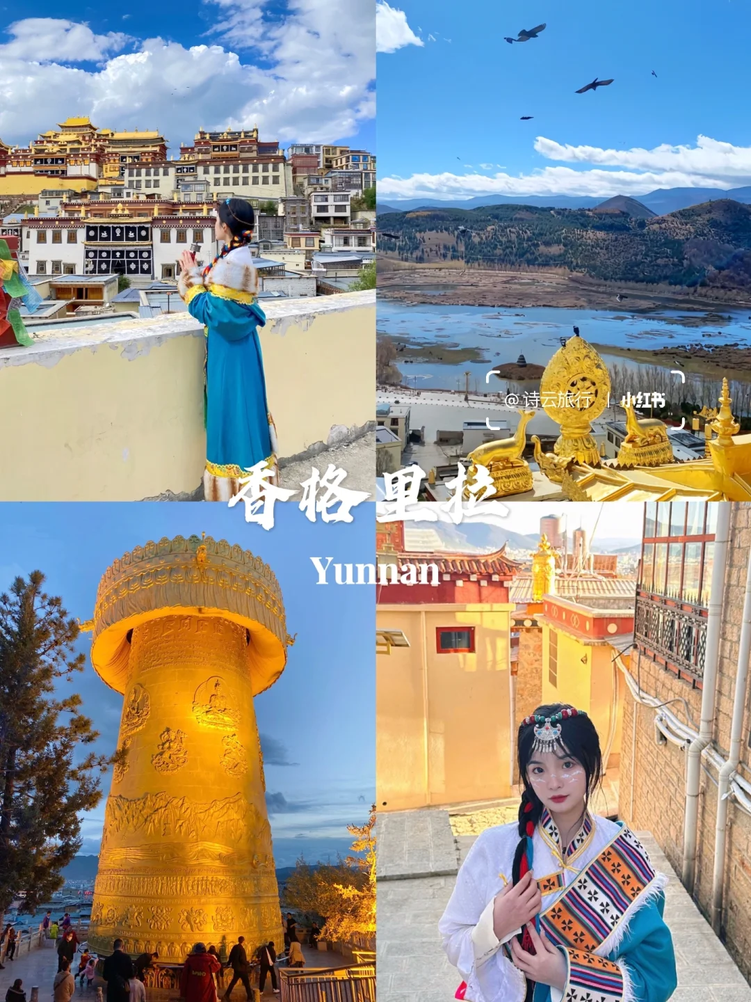 快来云南🔥七天花了1880💰包吃包玩包省心！