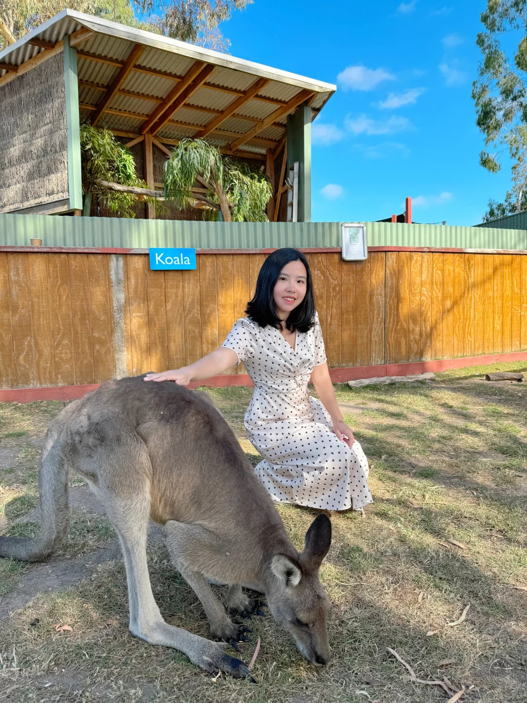 澳大利亚🇦🇺25天带娃深度游全攻略‼️