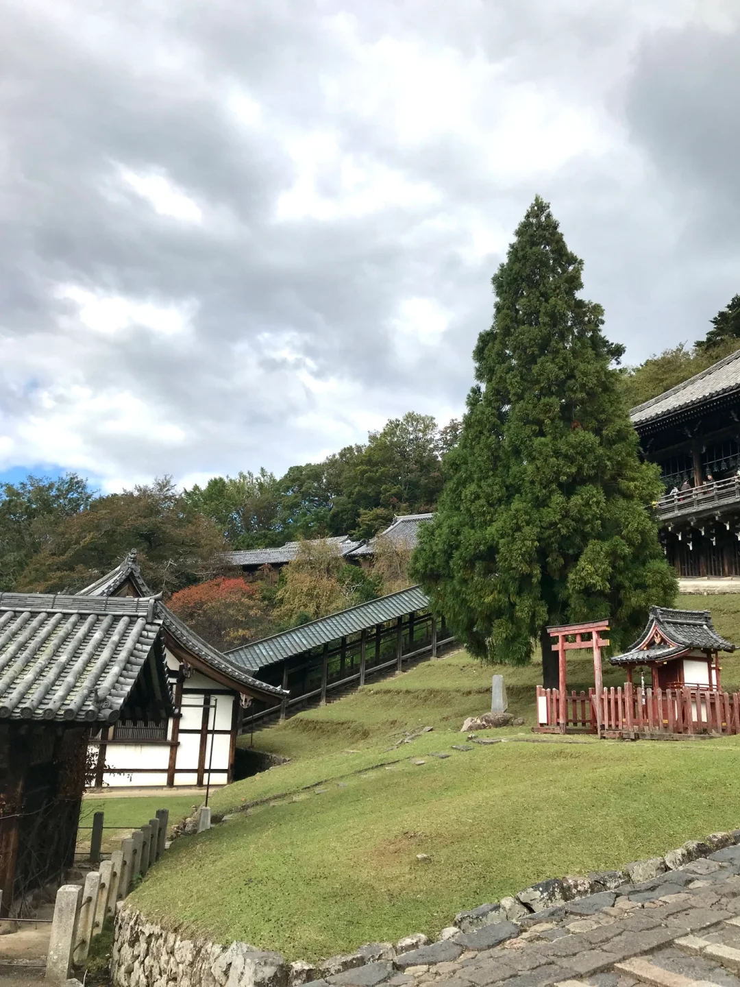 逛遍奈良景点只要一下午的旅游攻略来啦!