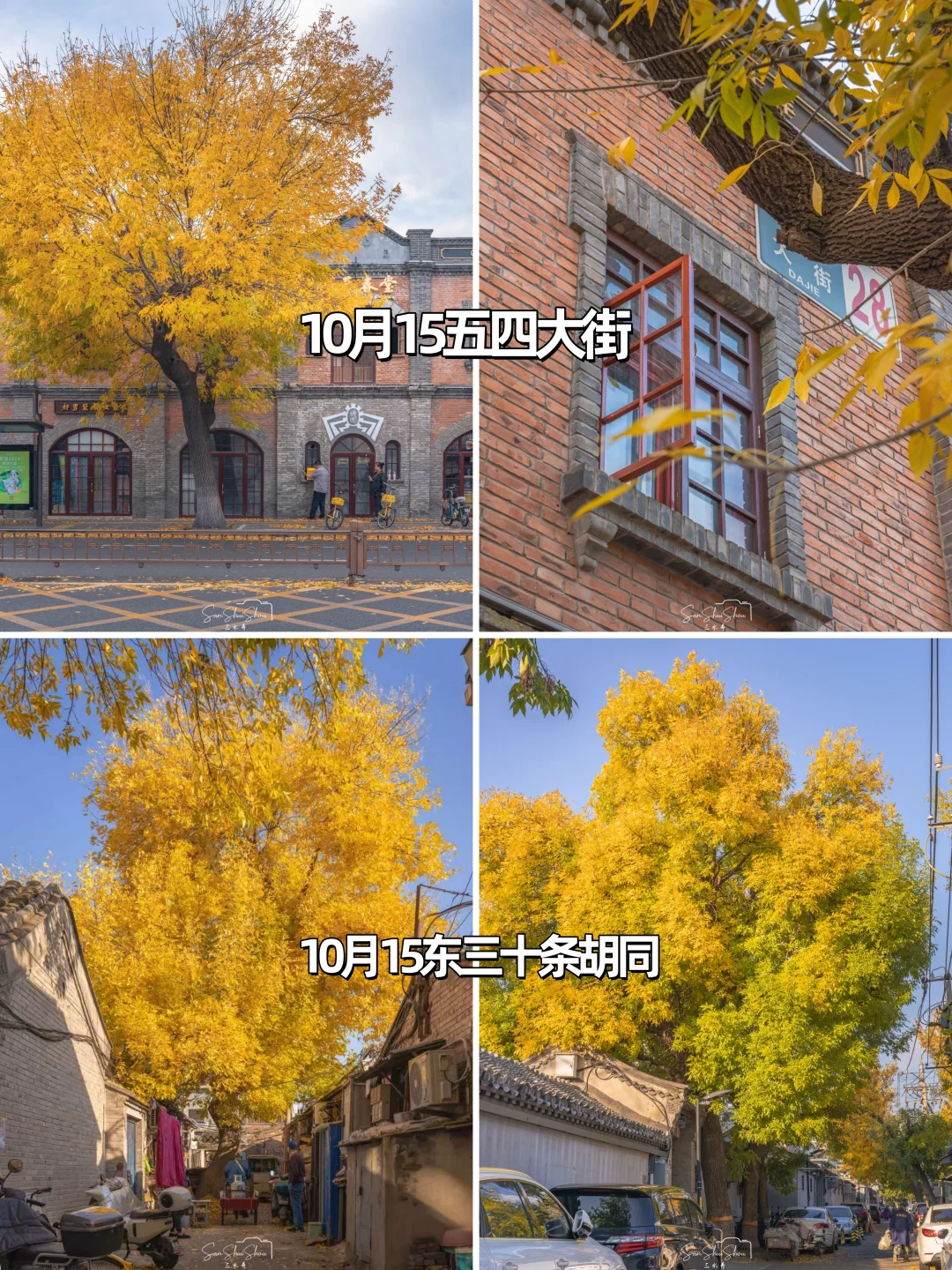 安排一个月！北京赏秋时间顺序与机位大全❤