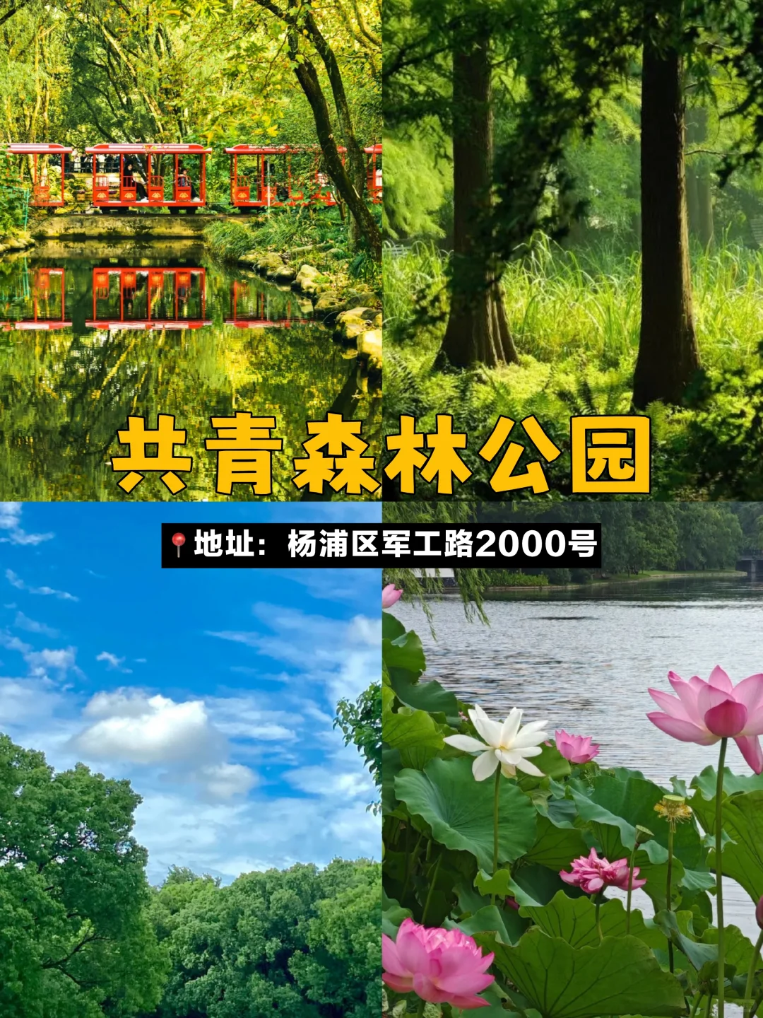 上海值得去的10个免费好地方💕地铁直达!