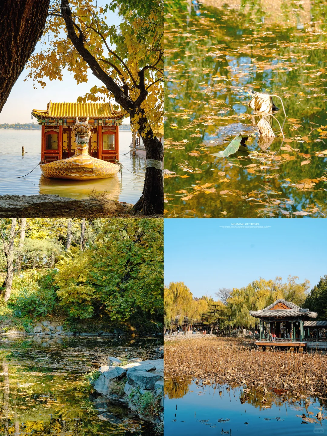 颐和园的秋天上线，北京的秋就真来啦‼️