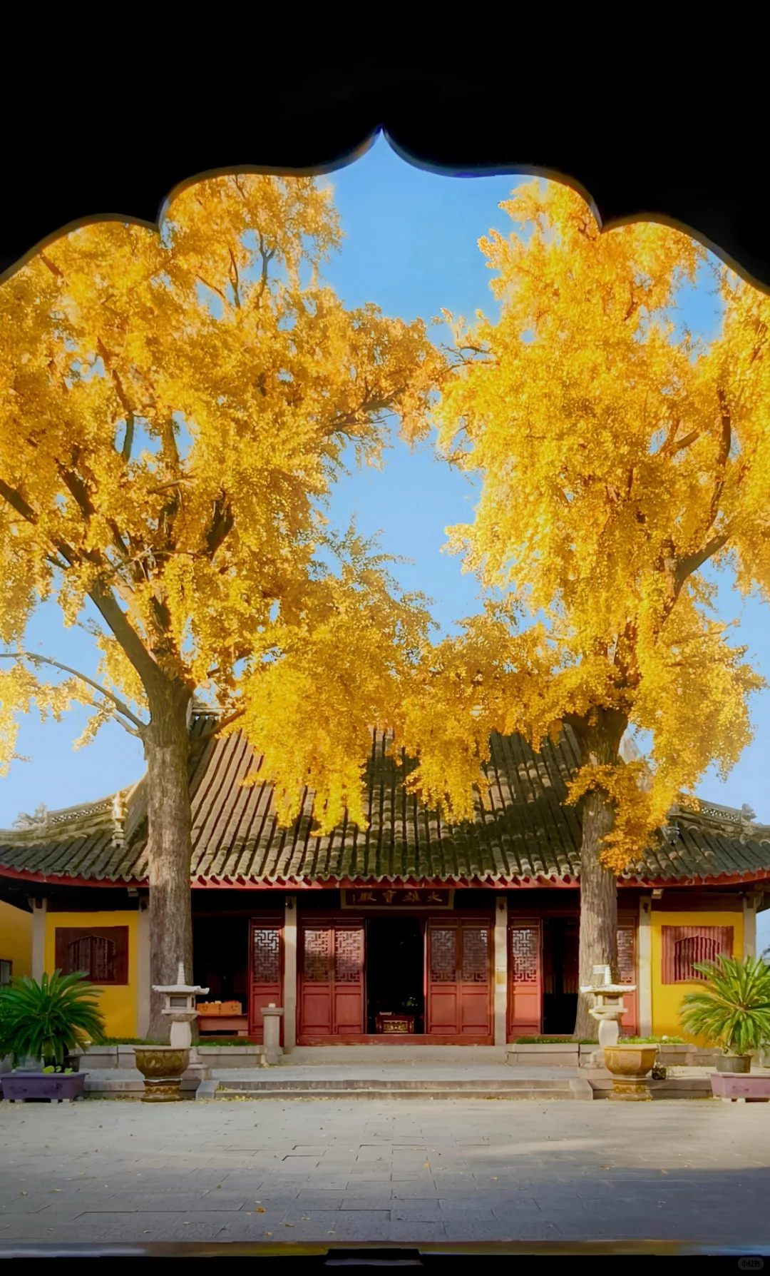 秋天的苏州就是江南旅游的天花板❗️不服来辩
