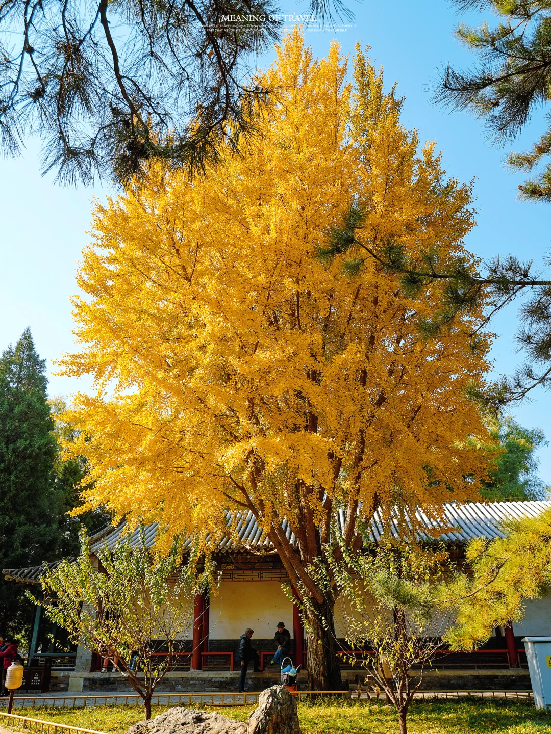 颐和园的秋天上线，北京的秋就真来啦‼️