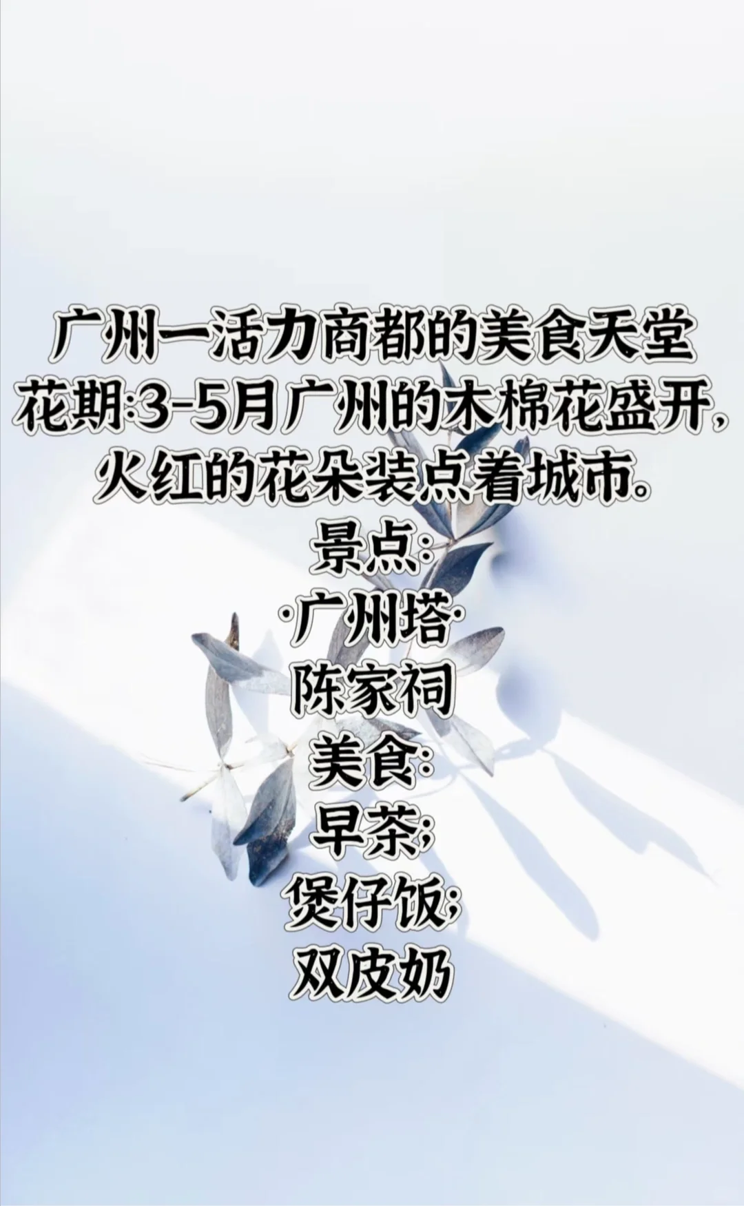 宝藏旅行地看过来👀