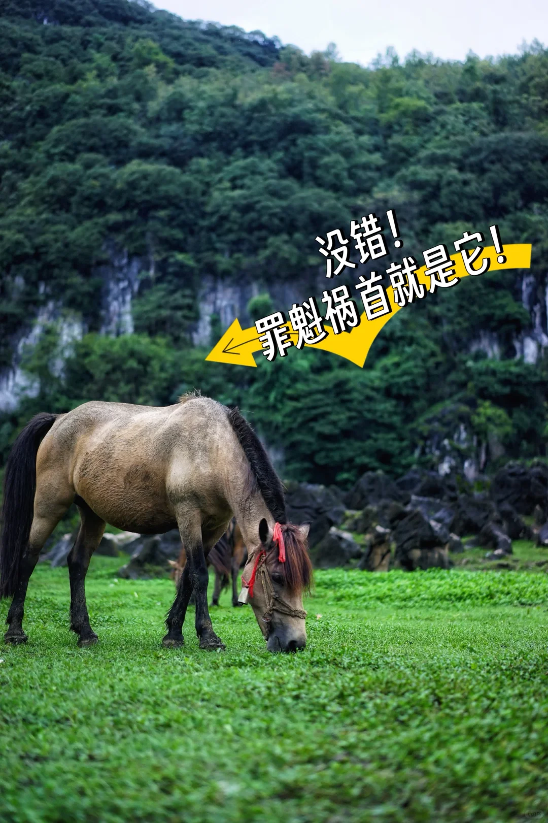 安顺铜鼓荡+万峰顶|无自驾攻略