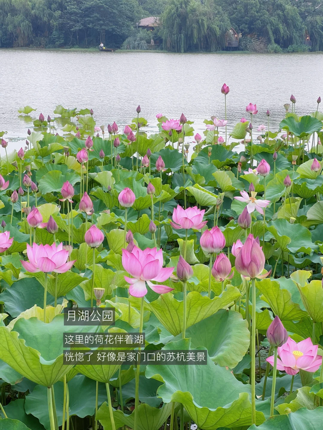 长沙最好的地方都是免费的…