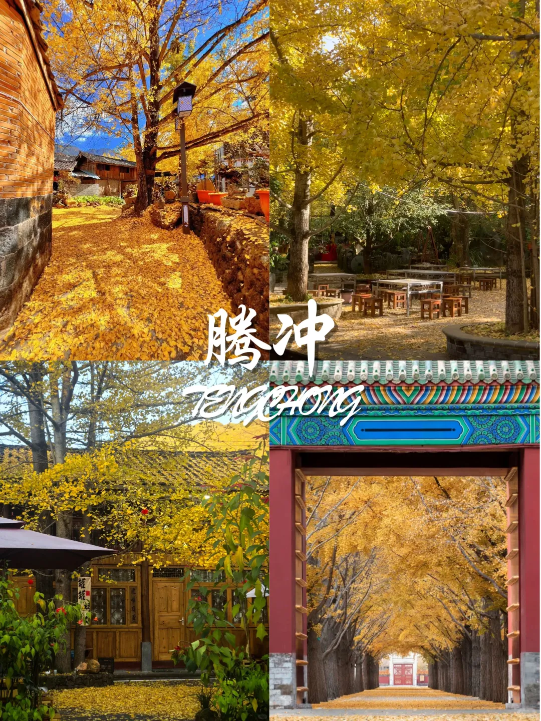 9-11月国内赏秋宝藏地推荐🍂 附观赏攻略