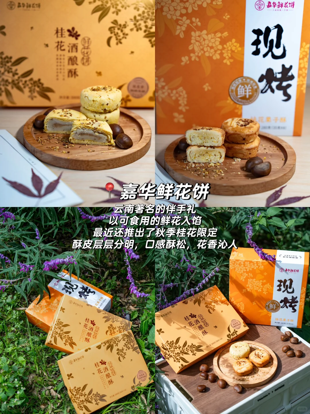 “后来我逢人便说，云南的秋天有多浪漫~”