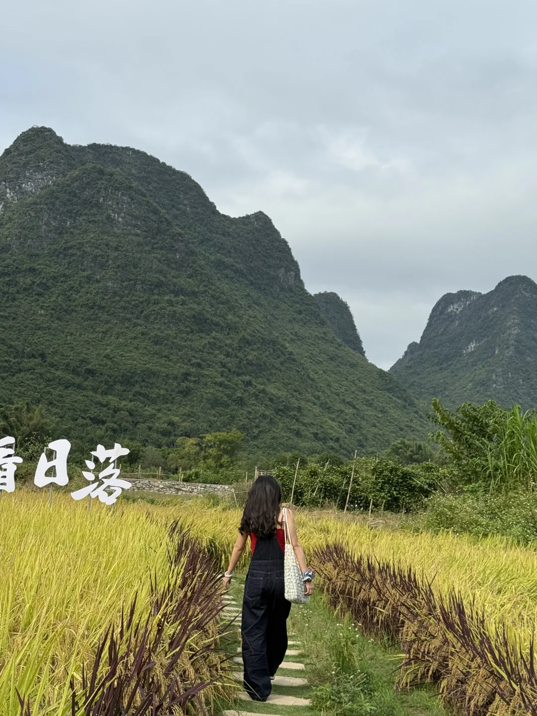 阳朔两天两夜旅游攻略