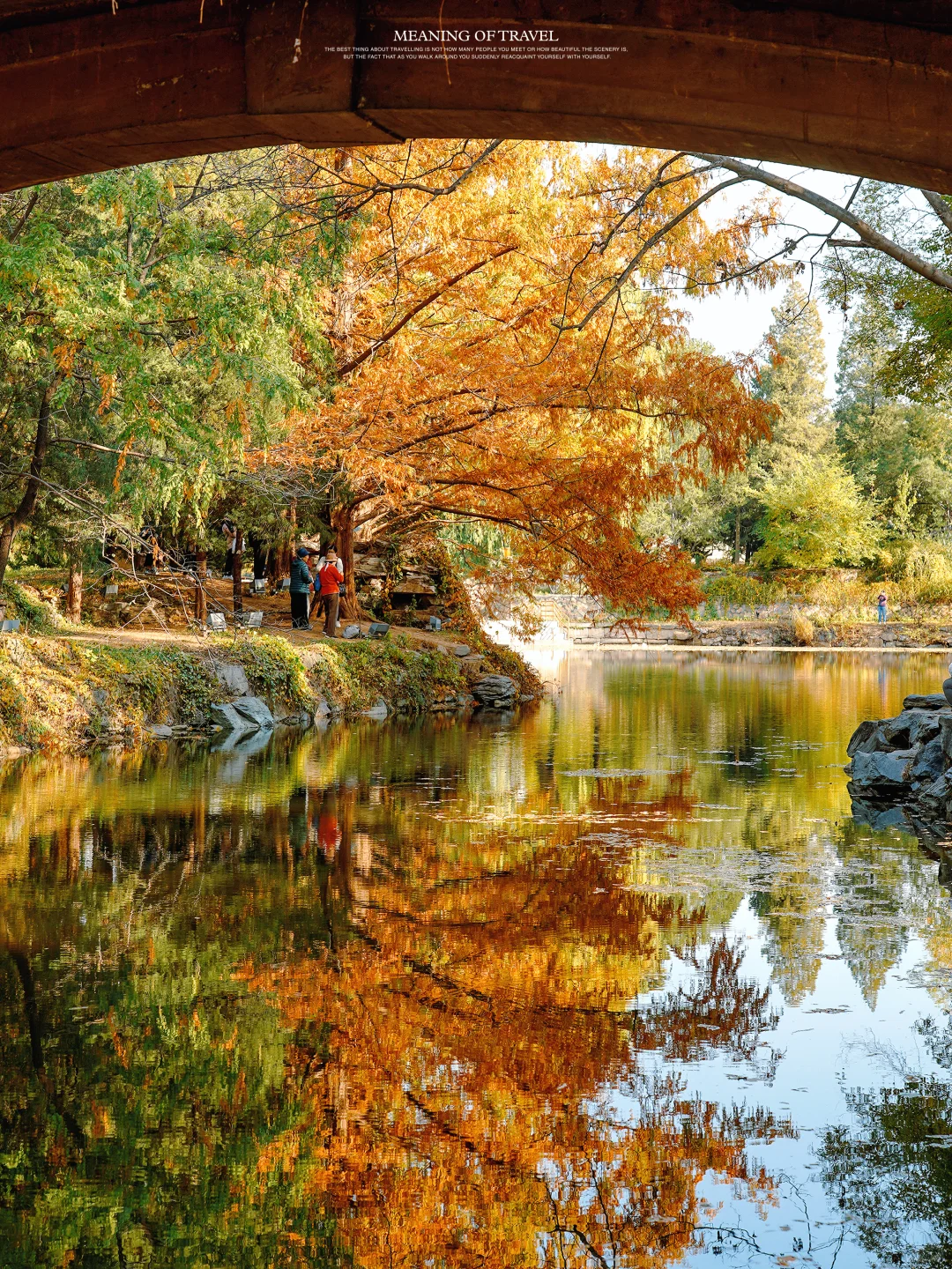 颐和园的秋天上线，北京的秋就真来啦‼️