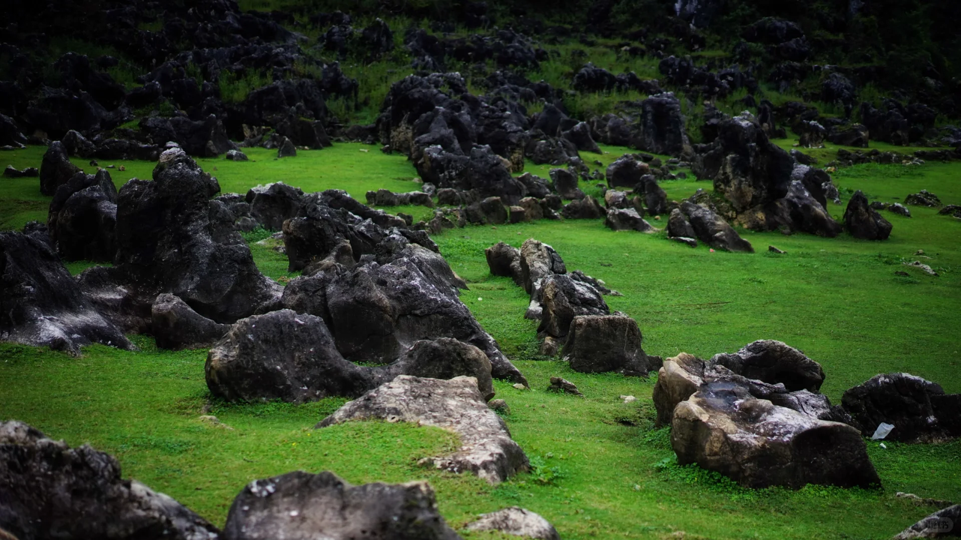 安顺铜鼓荡+万峰顶|无自驾攻略