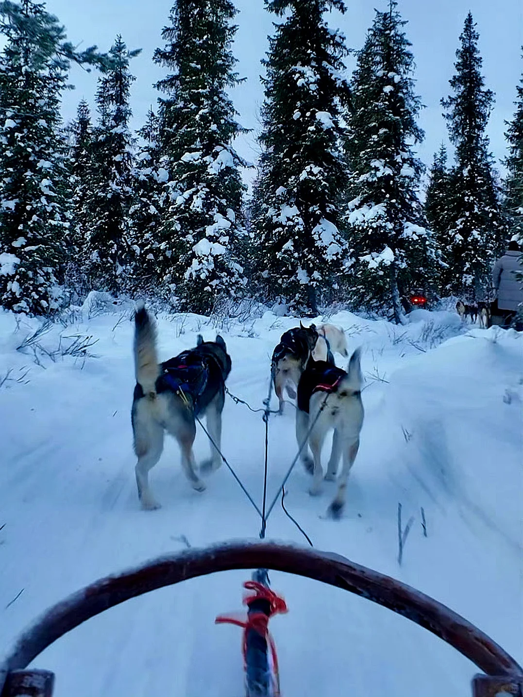 瑞典芬兰挪威8日游💙荒野仙境•极光之旅