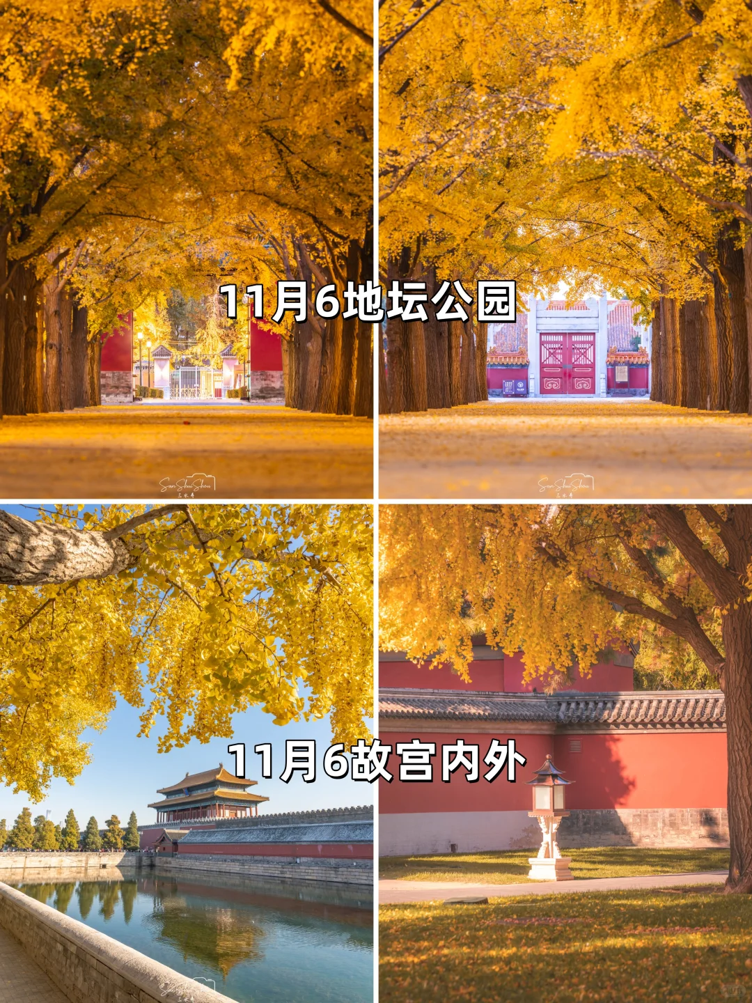 安排一个月！北京赏秋时间顺序与机位大全❤