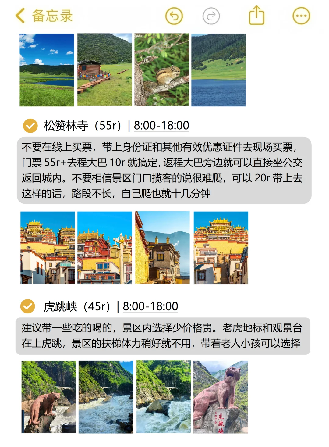 本J人做的云南旅游攻略已经next level了