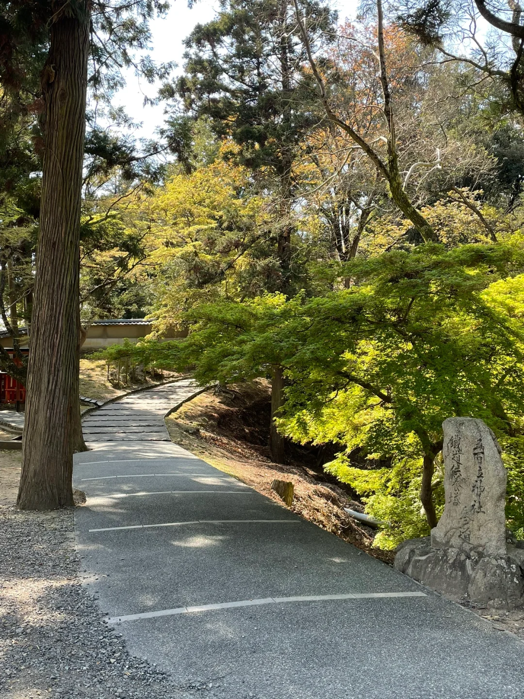 逛遍奈良景点只要一下午的旅游攻略来啦!