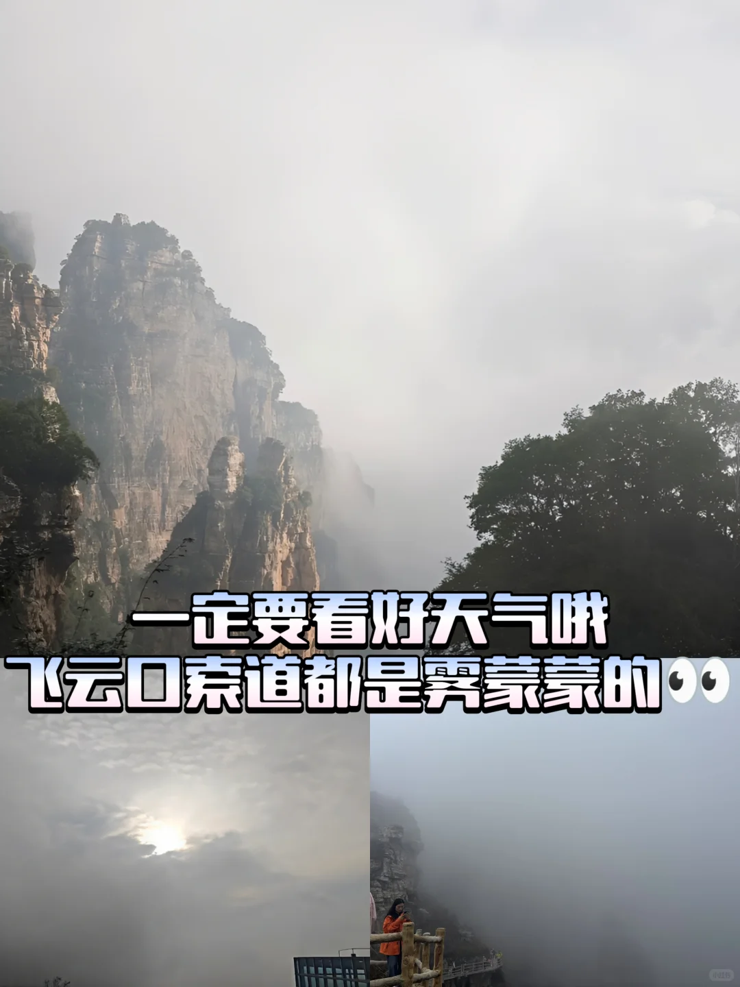 📣白石山西门绝对是小众宝藏入口