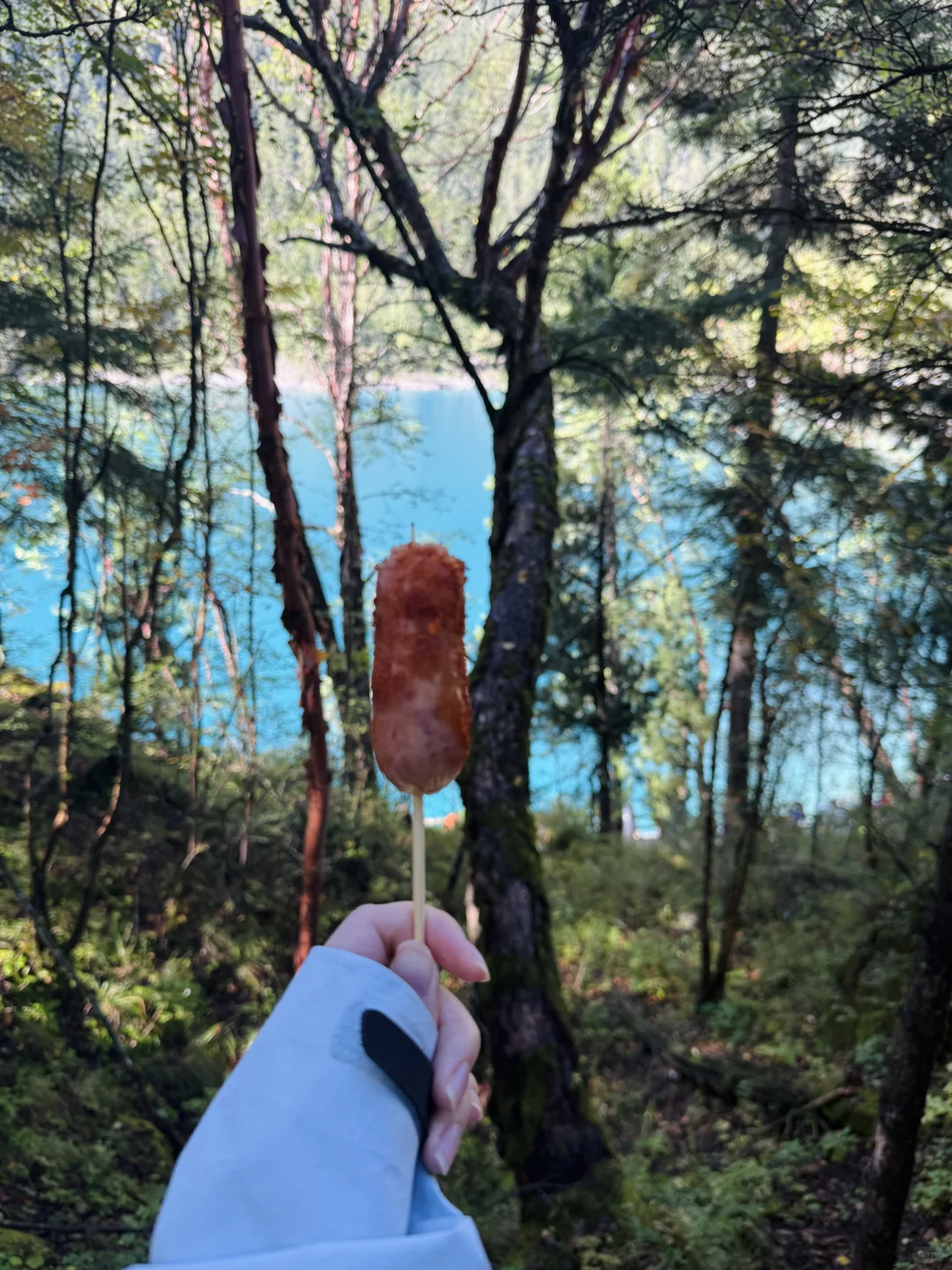 九寨沟刚回，不舍弃几个海子真不行