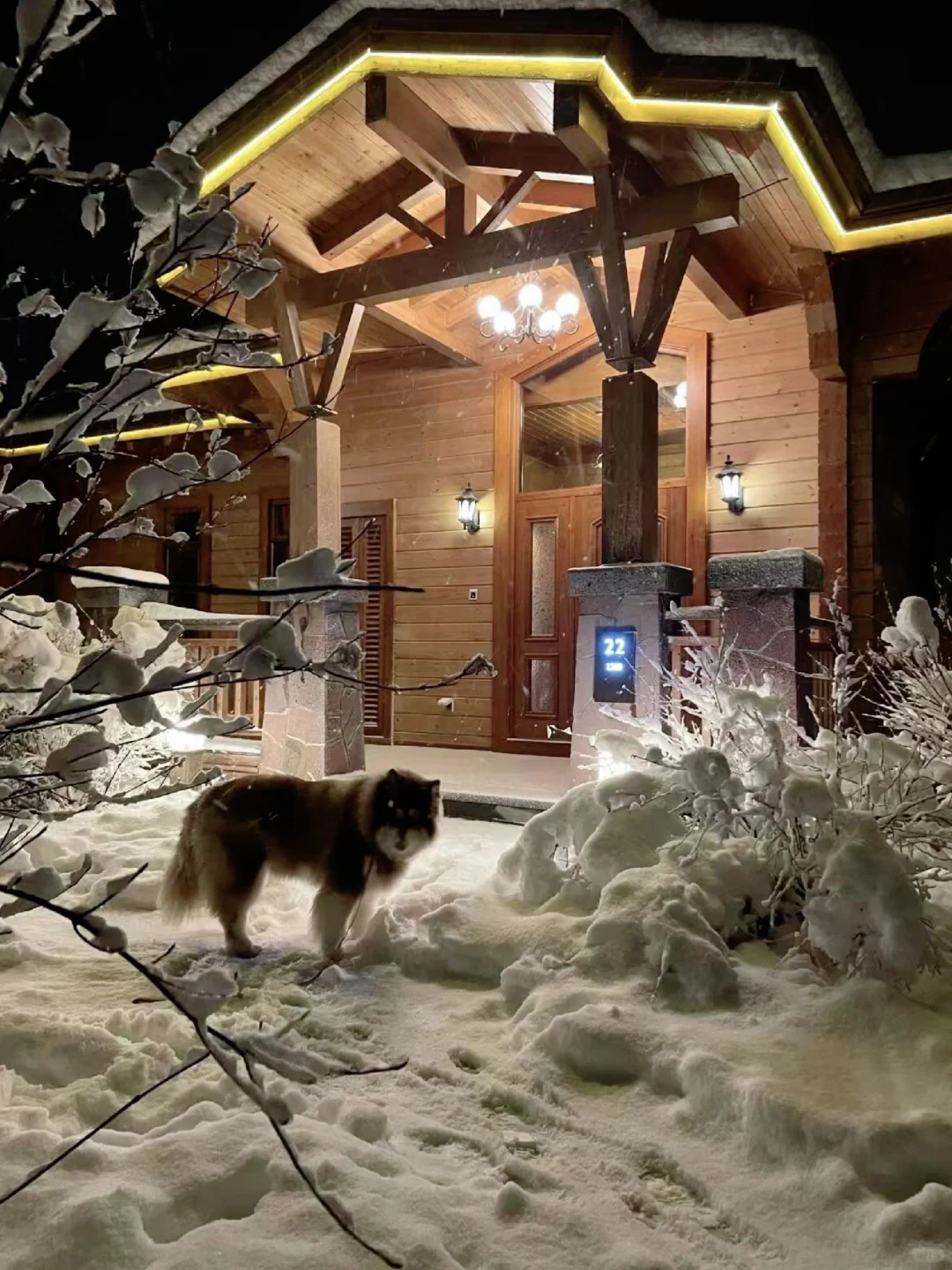 和闺蜜去了长白山旅游,这酒店比瑞士还美!