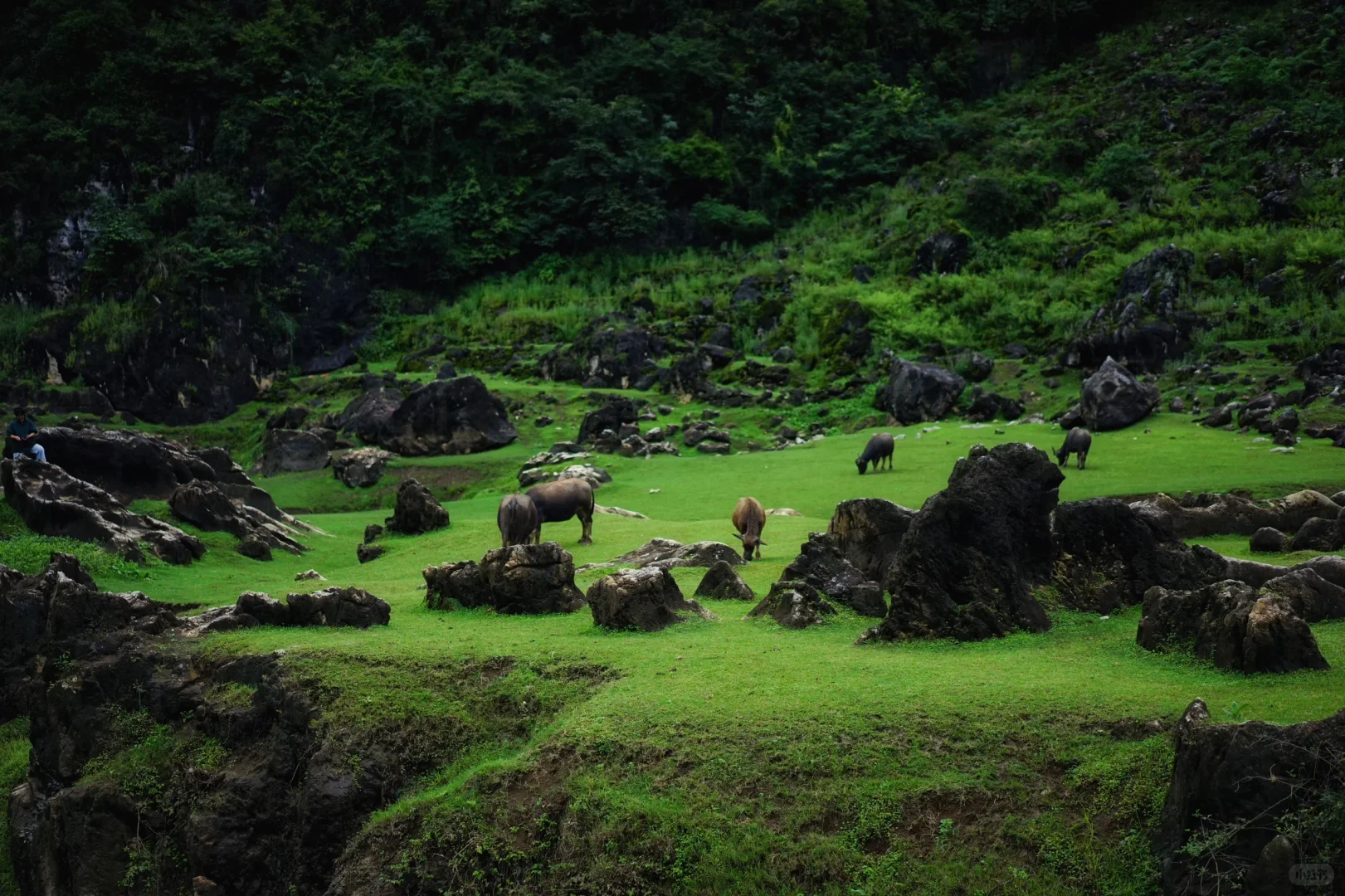 安顺铜鼓荡+万峰顶|无自驾攻略