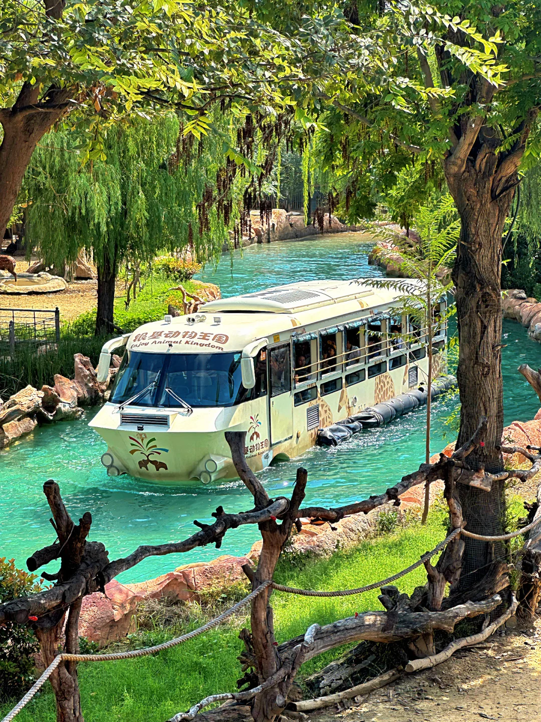 发朋友圈被问爆‼️真不是国外,在河南‼️