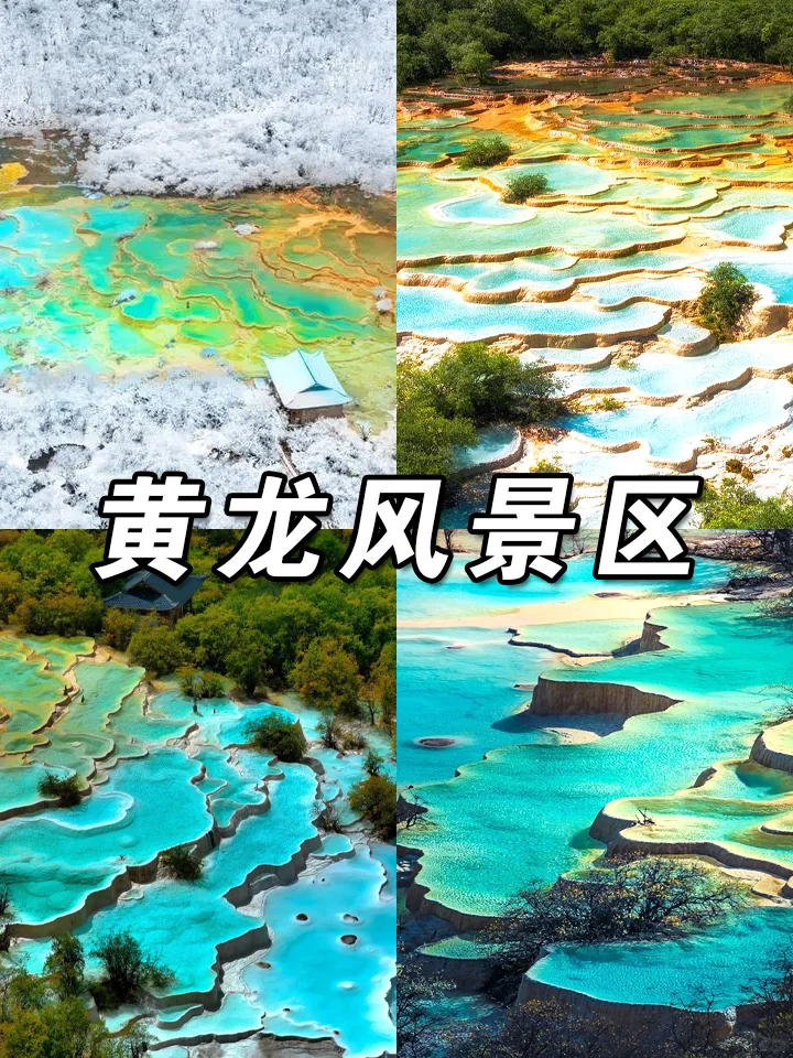 四川旅游怎么玩❓必去景点推荐🔥