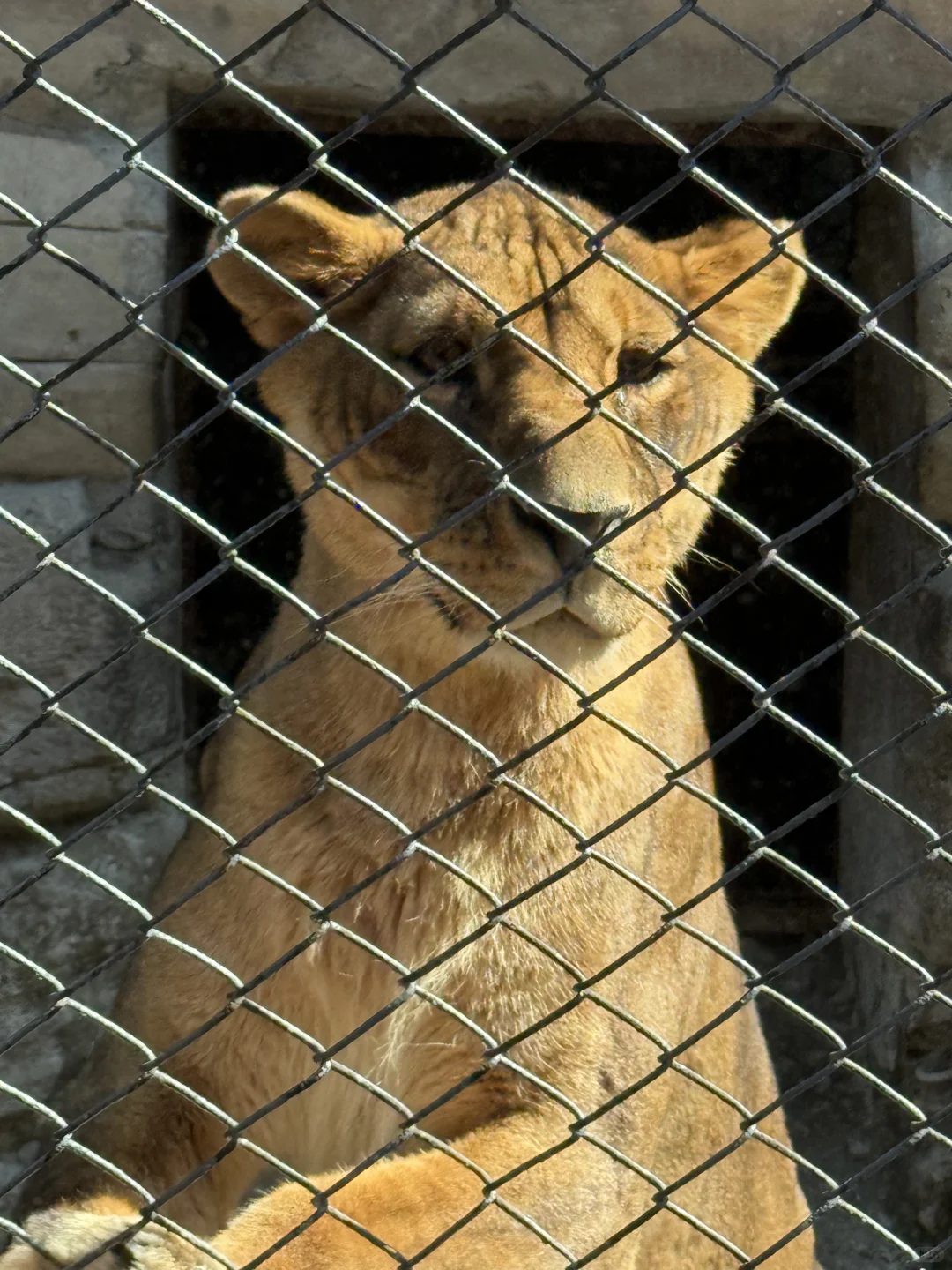 周末特种兵之大连